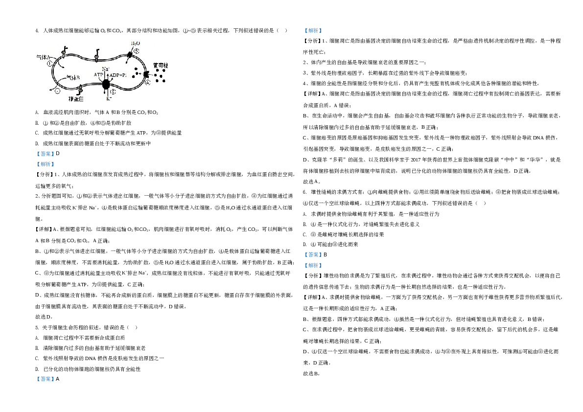 2021年河北高考生物试卷（新高考）A3 Word版(含参考答案).doc 第2页