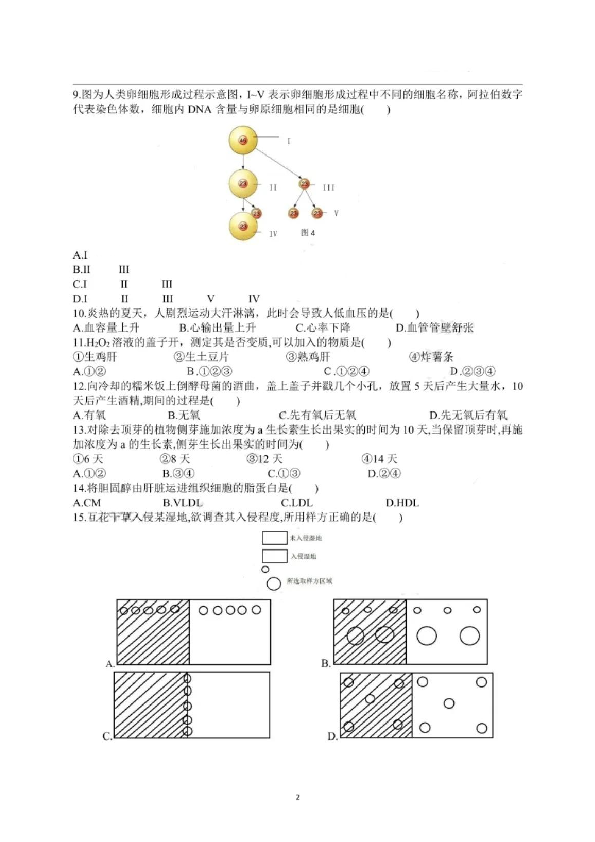 2020年上海市普通高中学业水平等级性考试生物试卷（pdf，有答案）.pdf 第2页