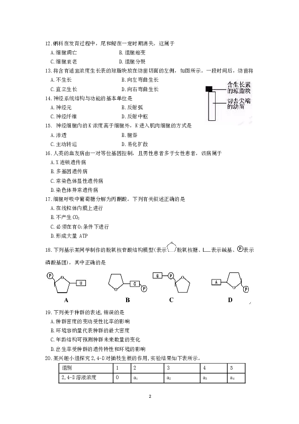 2016年4月浙江省生物选考试卷和答案.doc 第2页