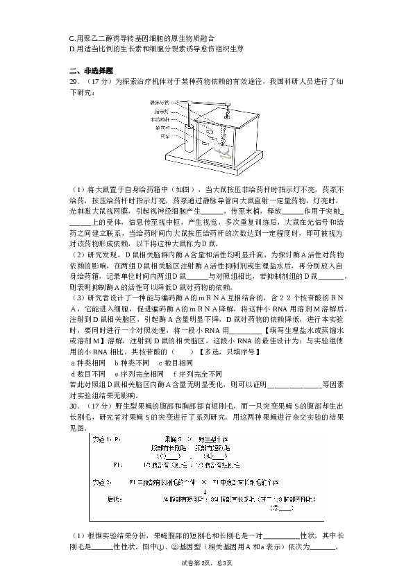 2015年北京高考生物试题及答案.docx 第2页
