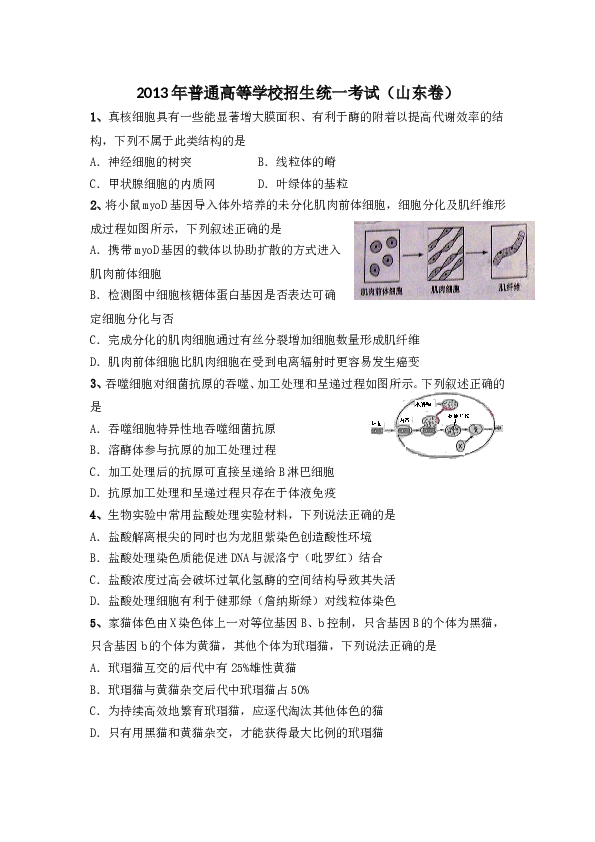 2013年山东高考生物真题试卷(含答案).doc 第1页