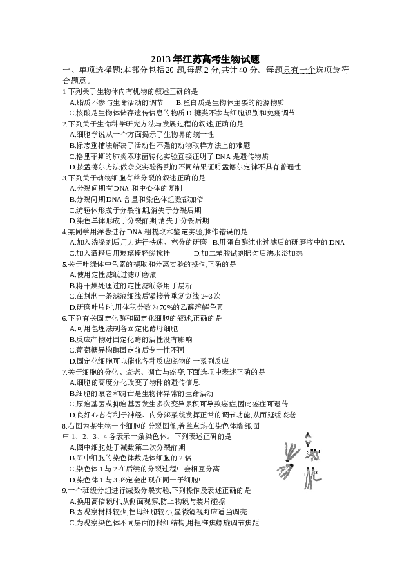 2013年江苏高考生物试卷及答案.doc 第1页