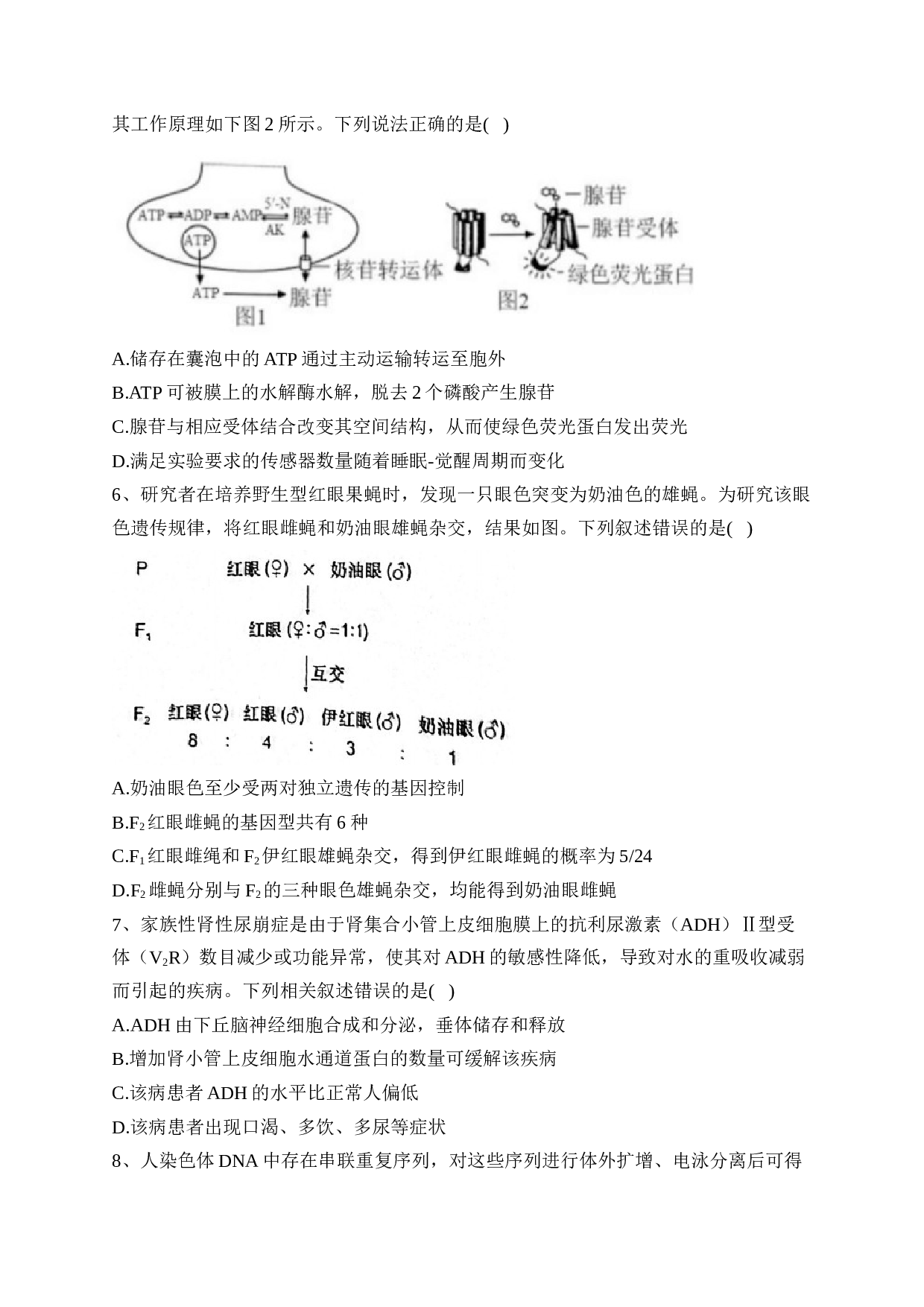 福建省2023届高三下学期联合测评生物试卷（含答案） 第2页