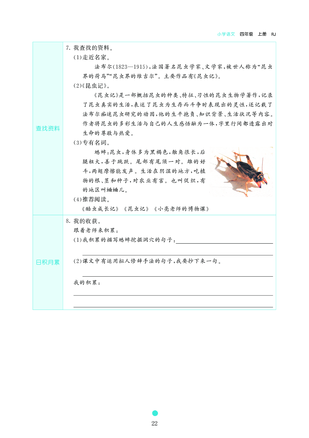 小学四年级语文上册《课前预习目标》11 蟋蟀的住宅.pdf 第2页