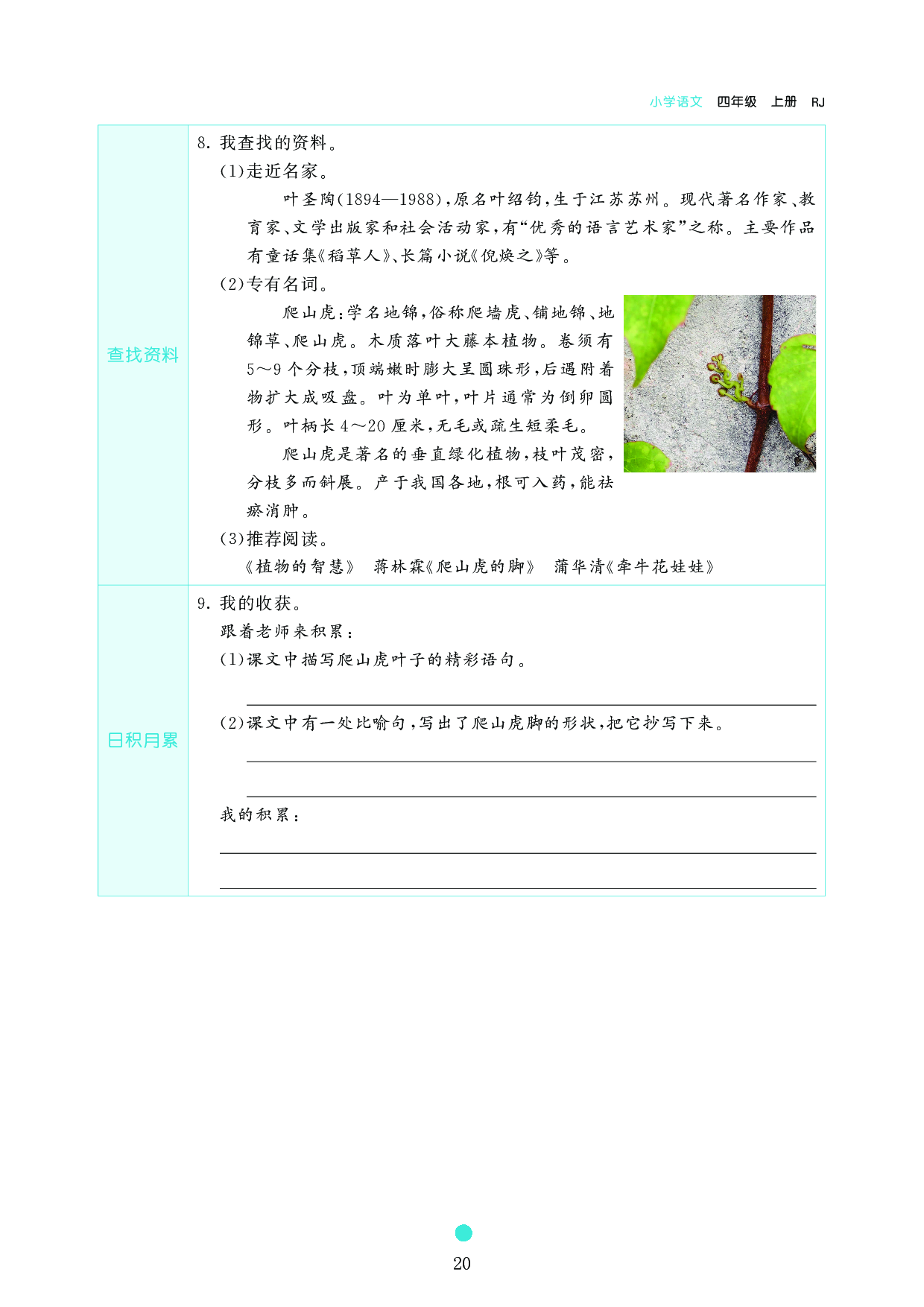 小学四年级语文上册《课前预习目标》10 爬山虎的脚.pdf 第2页