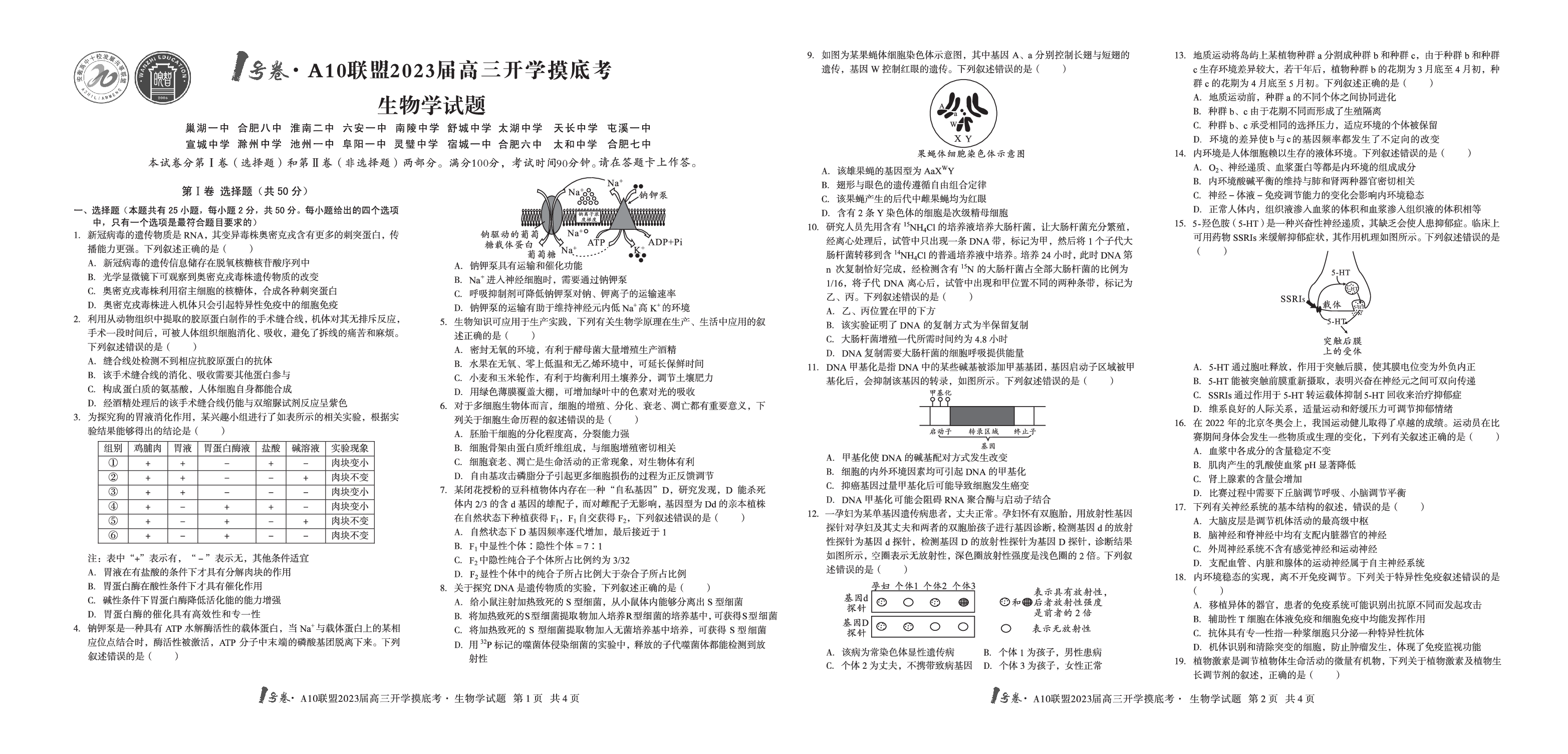 A10联盟2023届高三开学摸底考生物试题.pdf 第1页