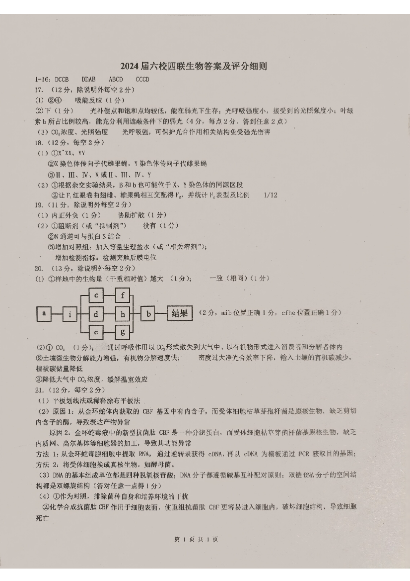 广东省东莞中学、广州二中、惠州一中、深圳实验、珠海一中、中山纪念中学2024届高三第四次六校联考 生物答案.pdf 第1页