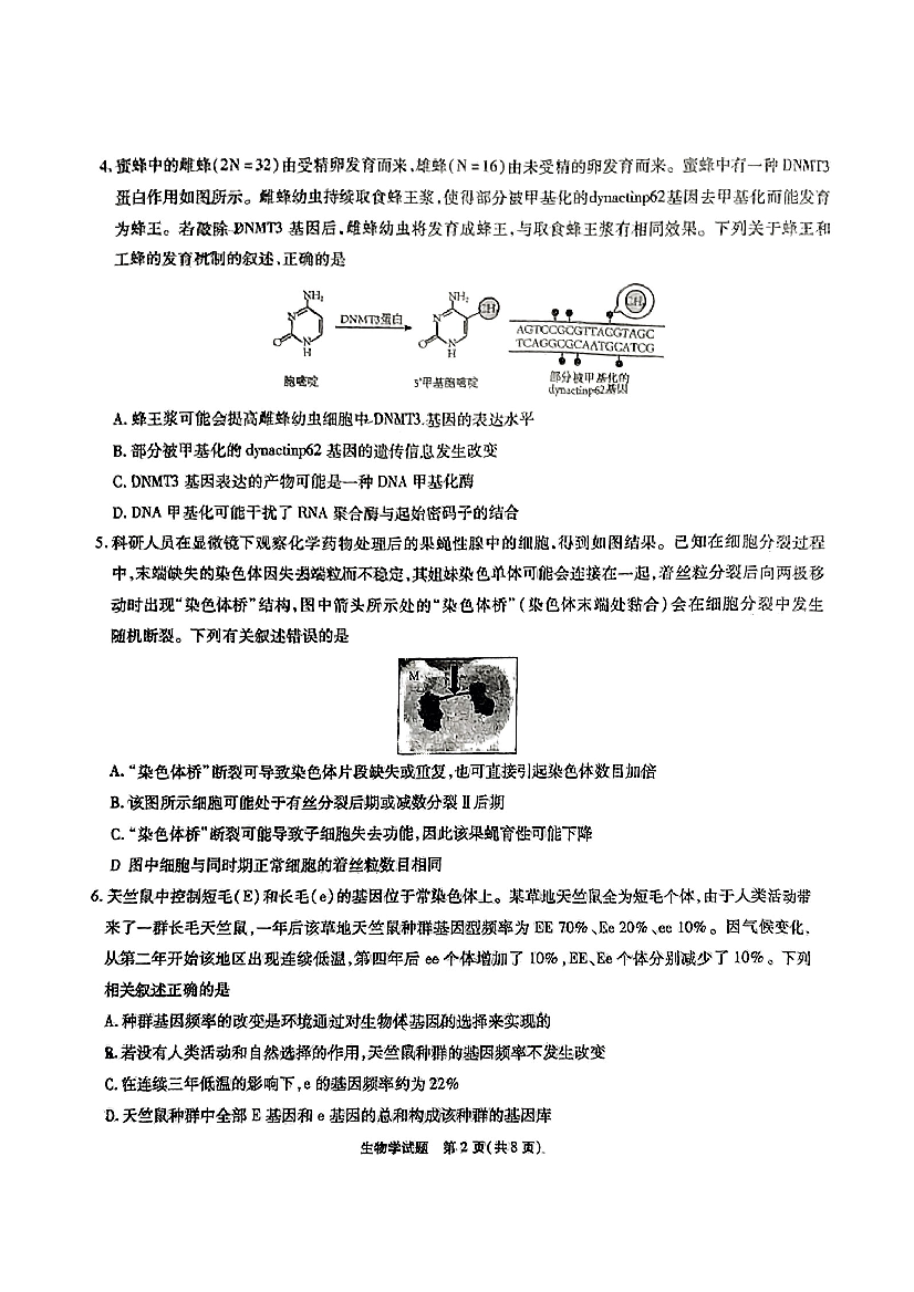安徽省六校教育研究会2023-2024学年高三下学期下学期第二次素养测试（2月）生物.pdf 第2页