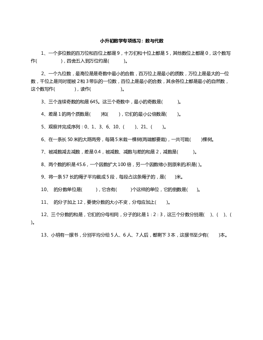 小升初数学专项练习 数与代数.doc 第1页