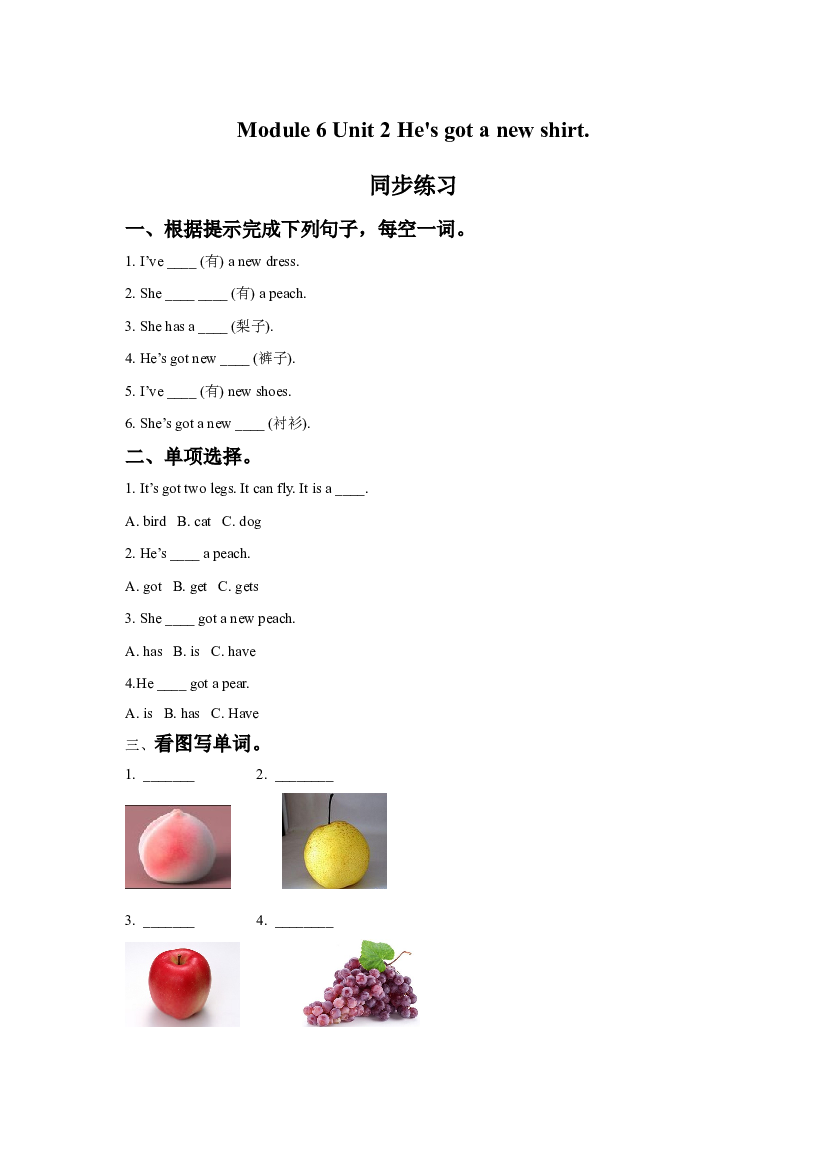 外研版小学英语三年级上册【同步练习】Module 6 Unit 2 He's got a new shirt.同步练习3(含参考答案).doc 第1页