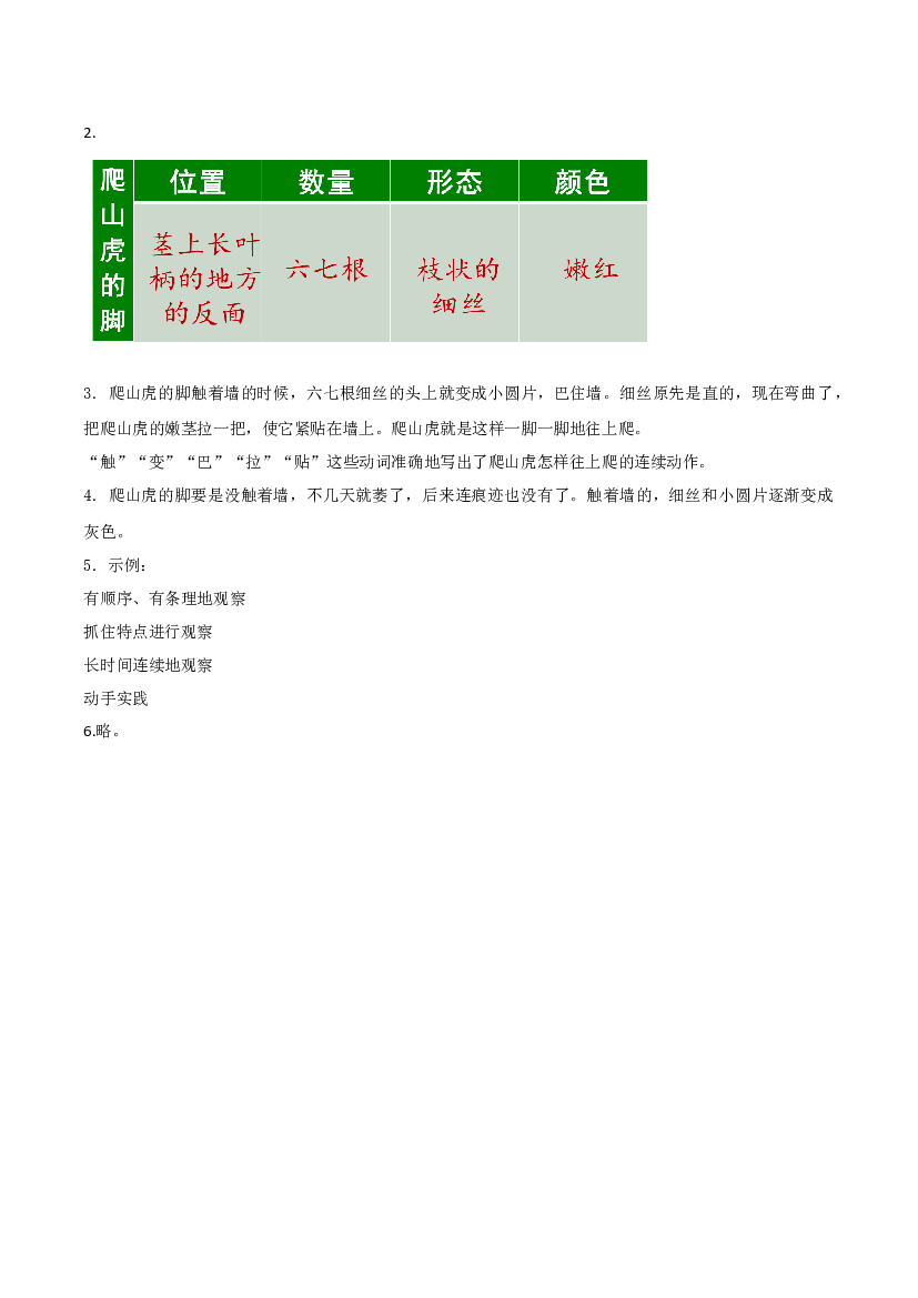 第10课《爬山虎的脚》（第二课时）四年级语文上册同步练习（+统编版）.docx 第2页