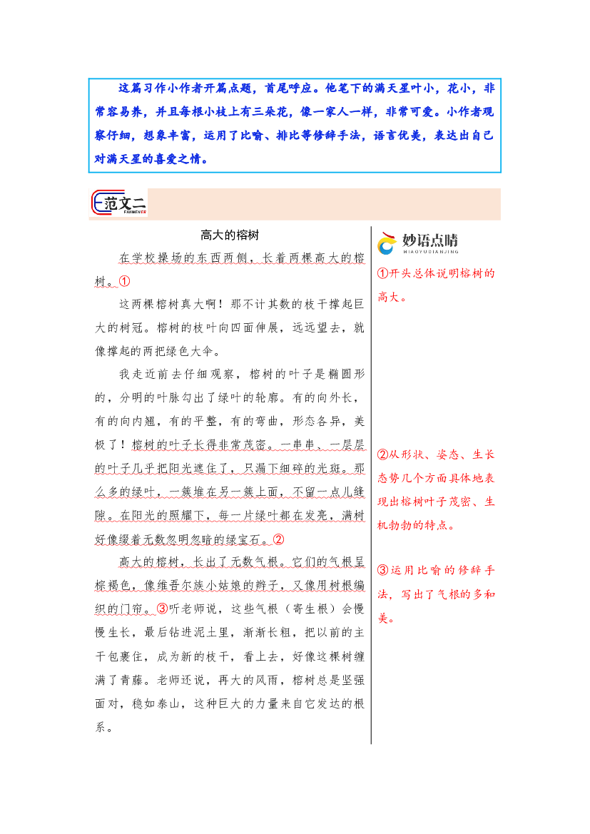 第一单元习作《我的植物朋友》范文点评-9页 语文三年级下册.docx 第2页