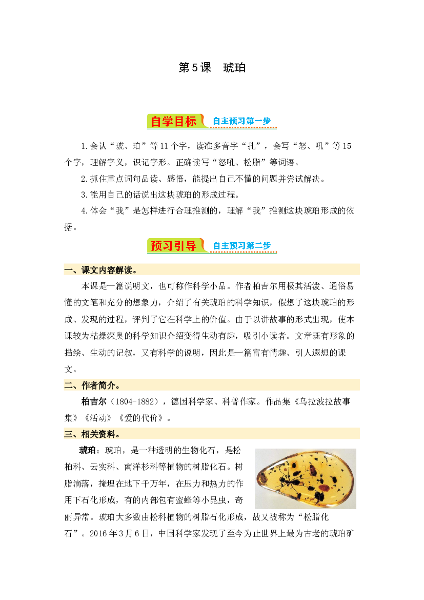 第5课 琥珀-2023-2024学年四年级语文下册寒假自学课 统编版.docx 第1页