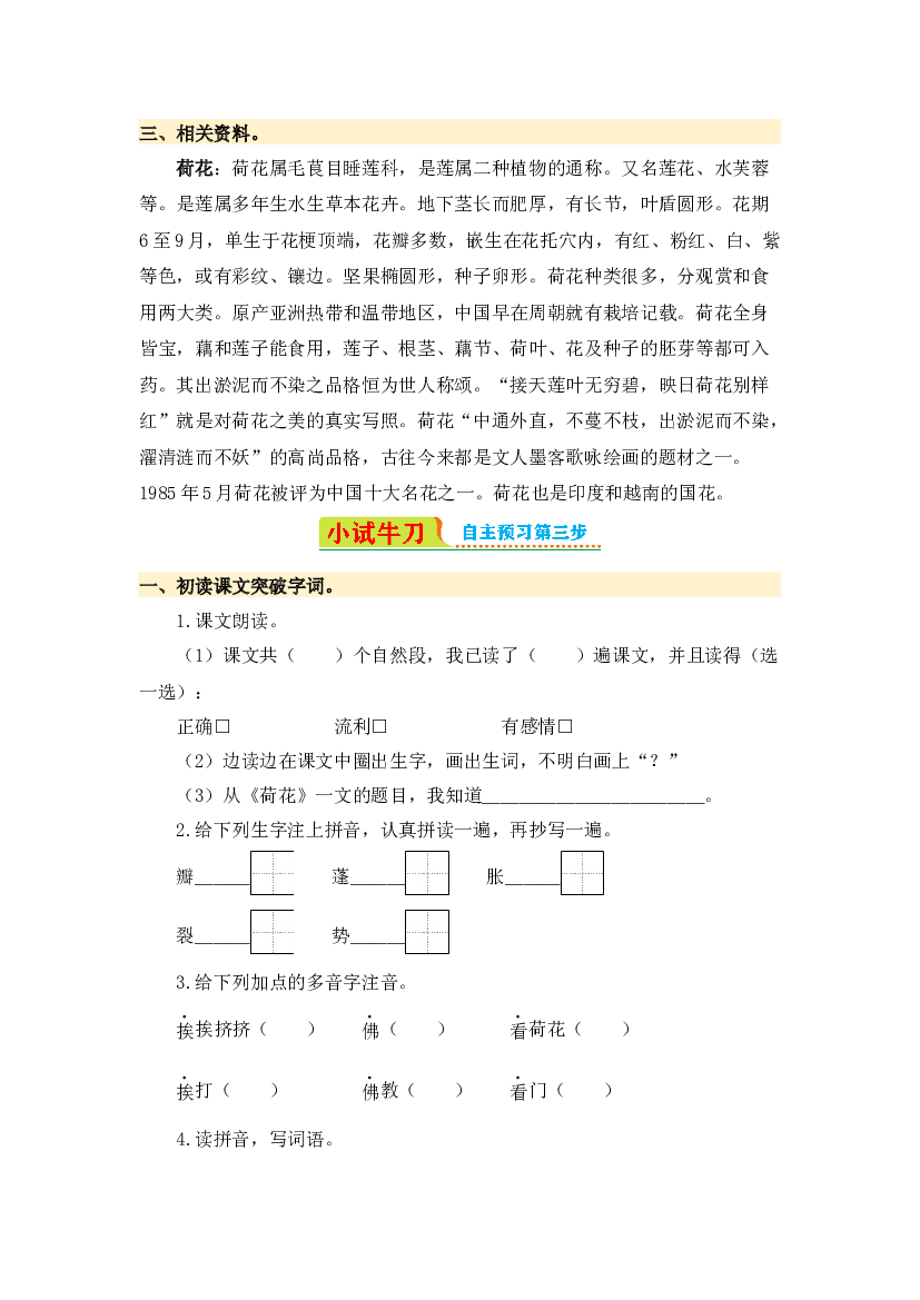 第3课 荷花-2023-2024学年三年级语文下册寒假自学课 统编版.docx 第2页