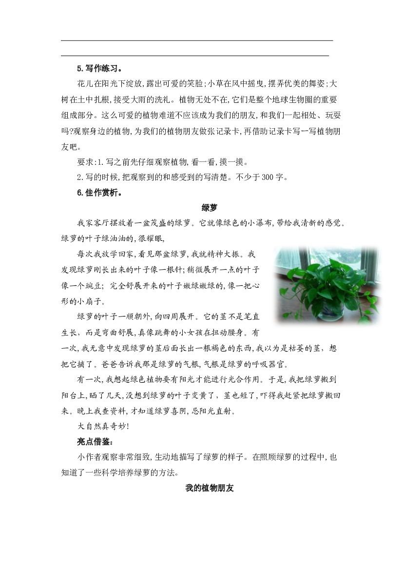 专题 10习作训练  -2022-2023学年三年级语文下册期中专项复习（部编版）.docx 第2页