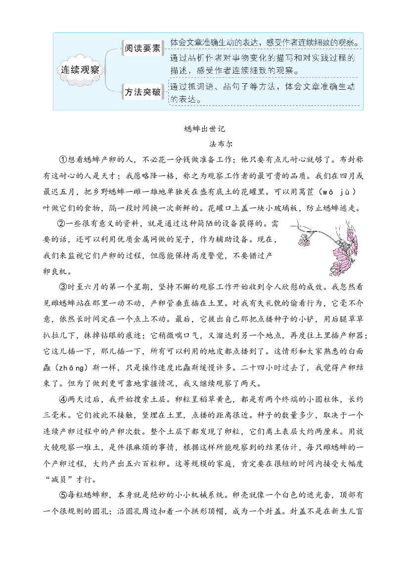 (新课标)三升四语文阅读与习作暑期升级训练(第五周).docx 第2页