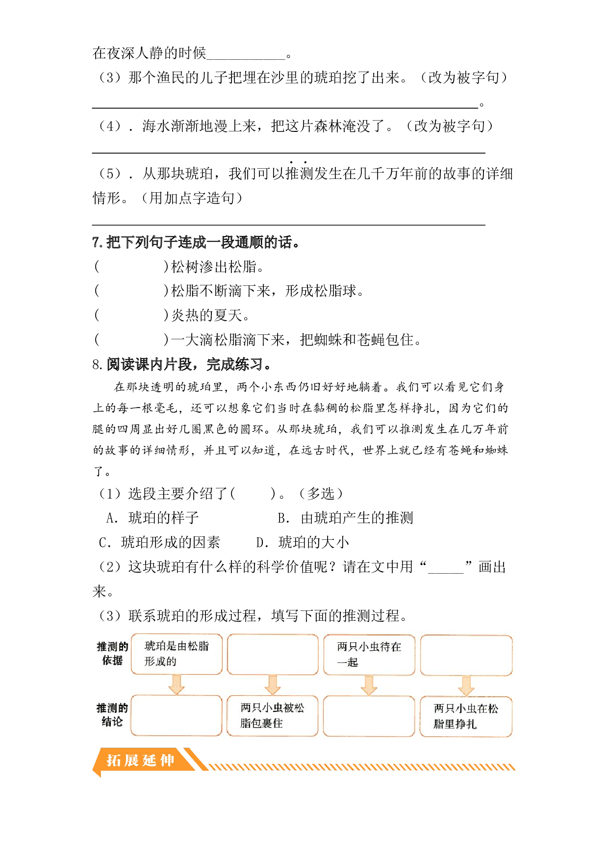 第5课 琥珀-2022-2023学年四年级语文下册课时练习（部编版）.docx 第2页