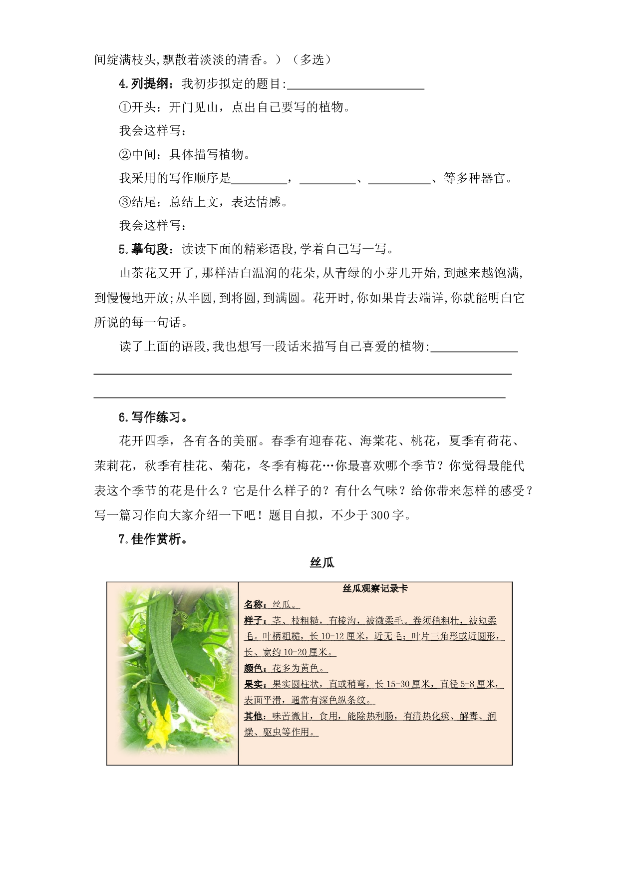 专题 10习作训练  -2022-2023学年三年级语文下册期末专项复习（部编版）.docx 第2页