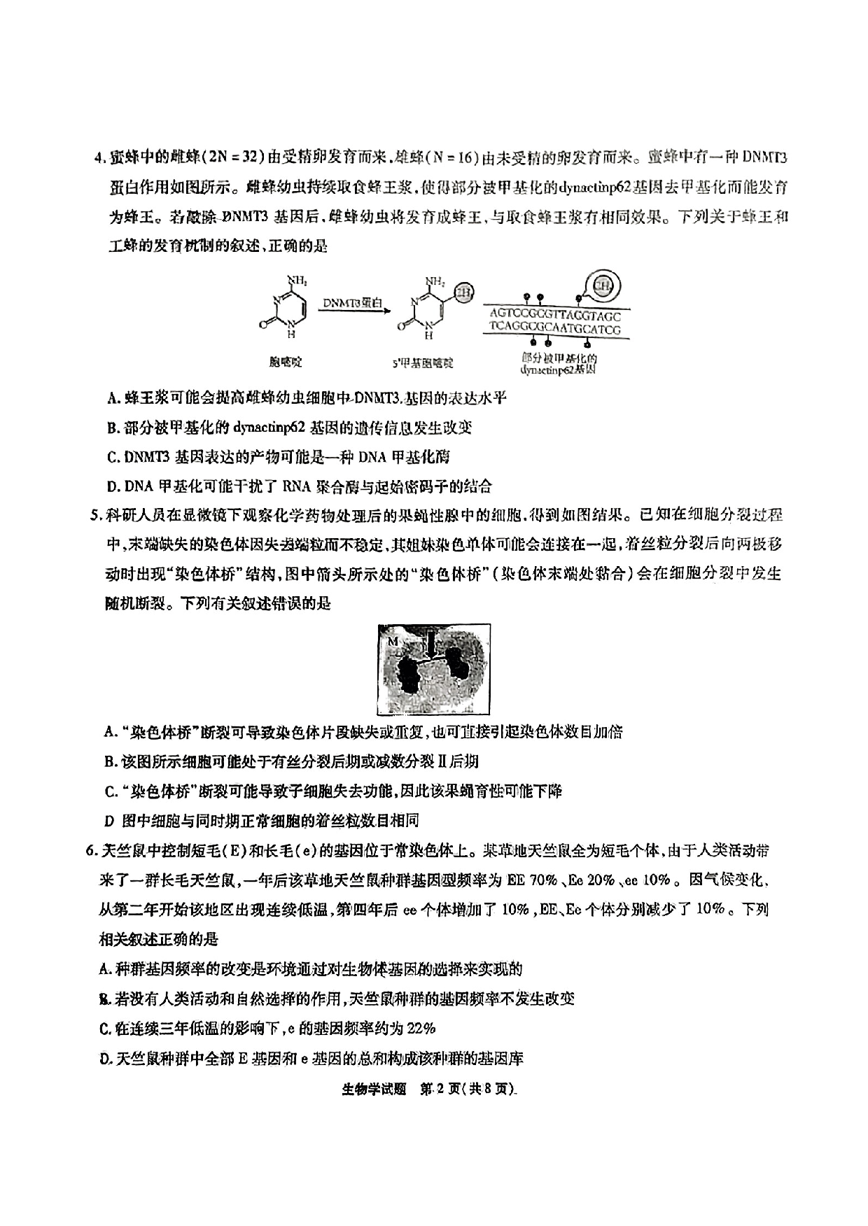 安徽省六校教育研究会2023-2024学年高三下学期下学期第二次素养测试（2月）生物.pdf 第2页