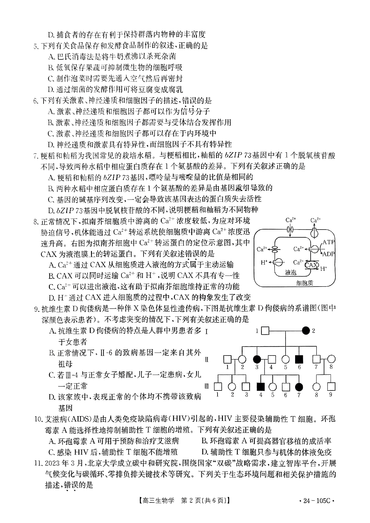 广东省湛江市普通高中2023-2024学年高三上学期10月调研考试 生物.pdf 第2页