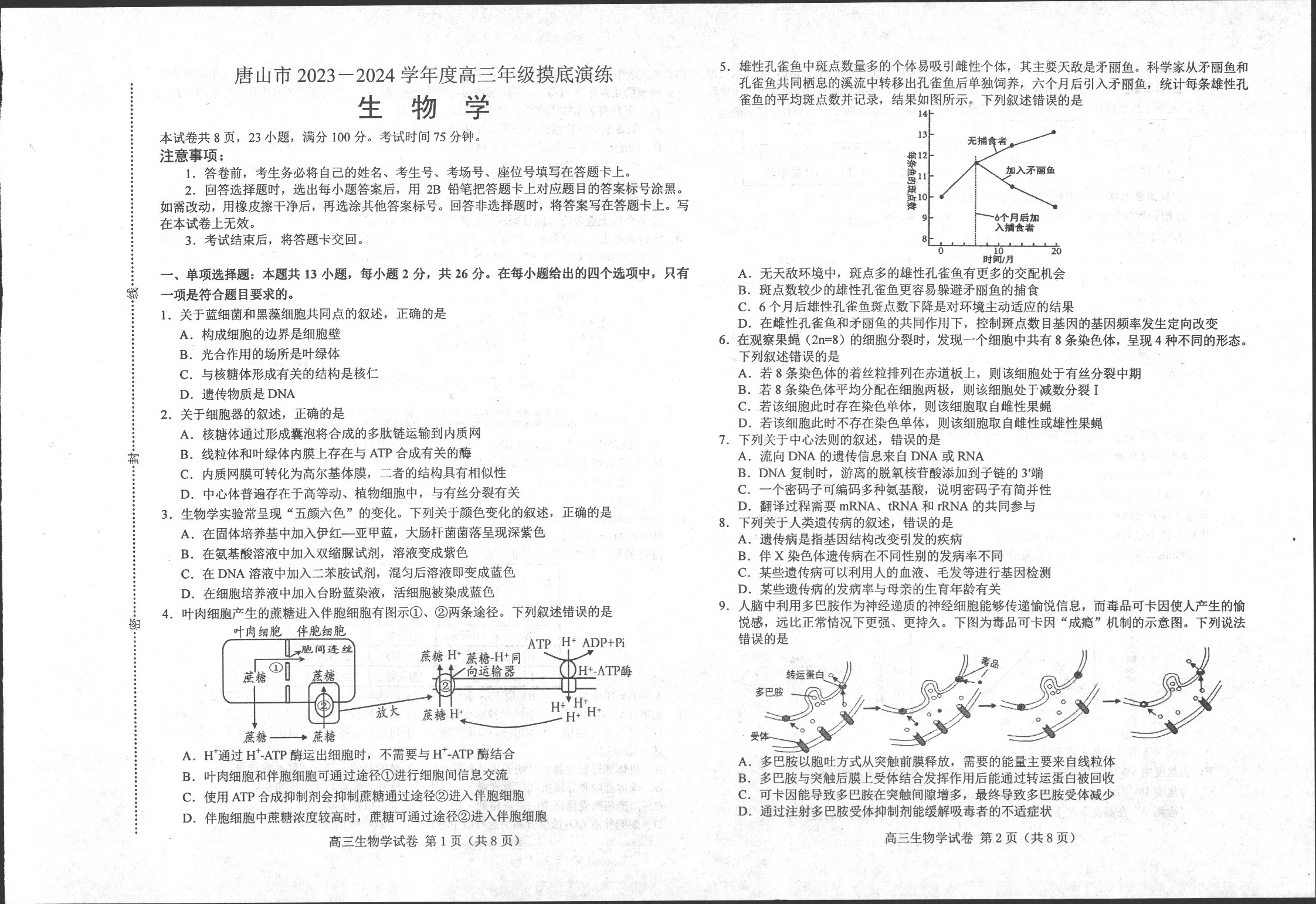 河北省唐山市2023-2024学年高三上学期摸底演练 生物.pdf 第1页
