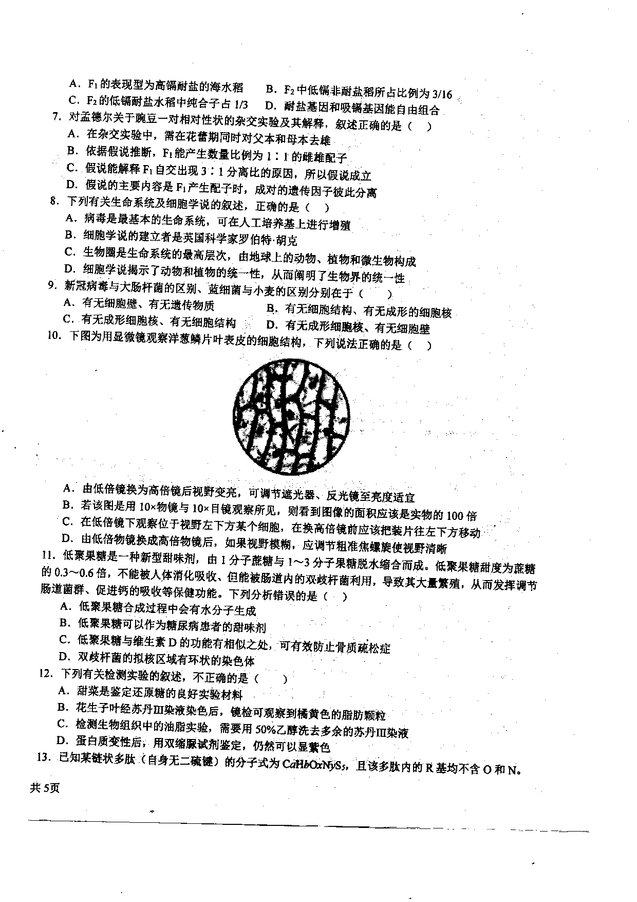 黑龙江省哈尔滨师范大学附属中学2023-2024学年高三上学期第二次调研考试 生物.pdf 第2页