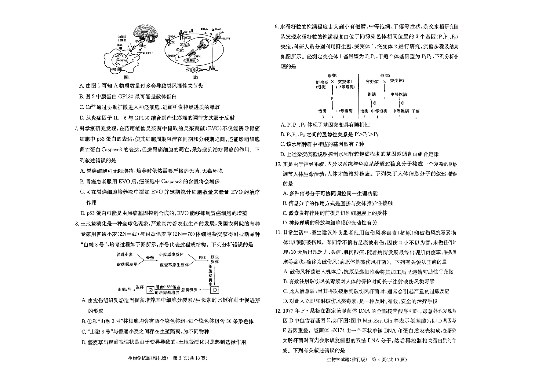 湖南省雅礼中学2024届高三月考试卷（一）生物.pdf 第2页