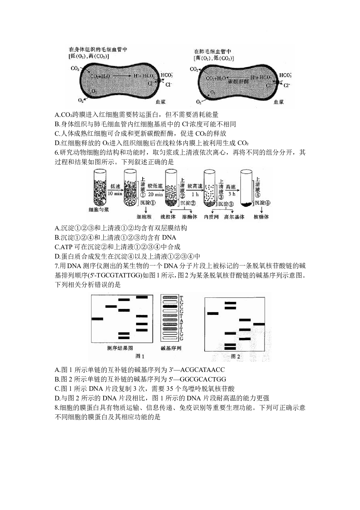山东省部分学校2023-2024学年高三上学期十月联考 生物.pdf 第2页