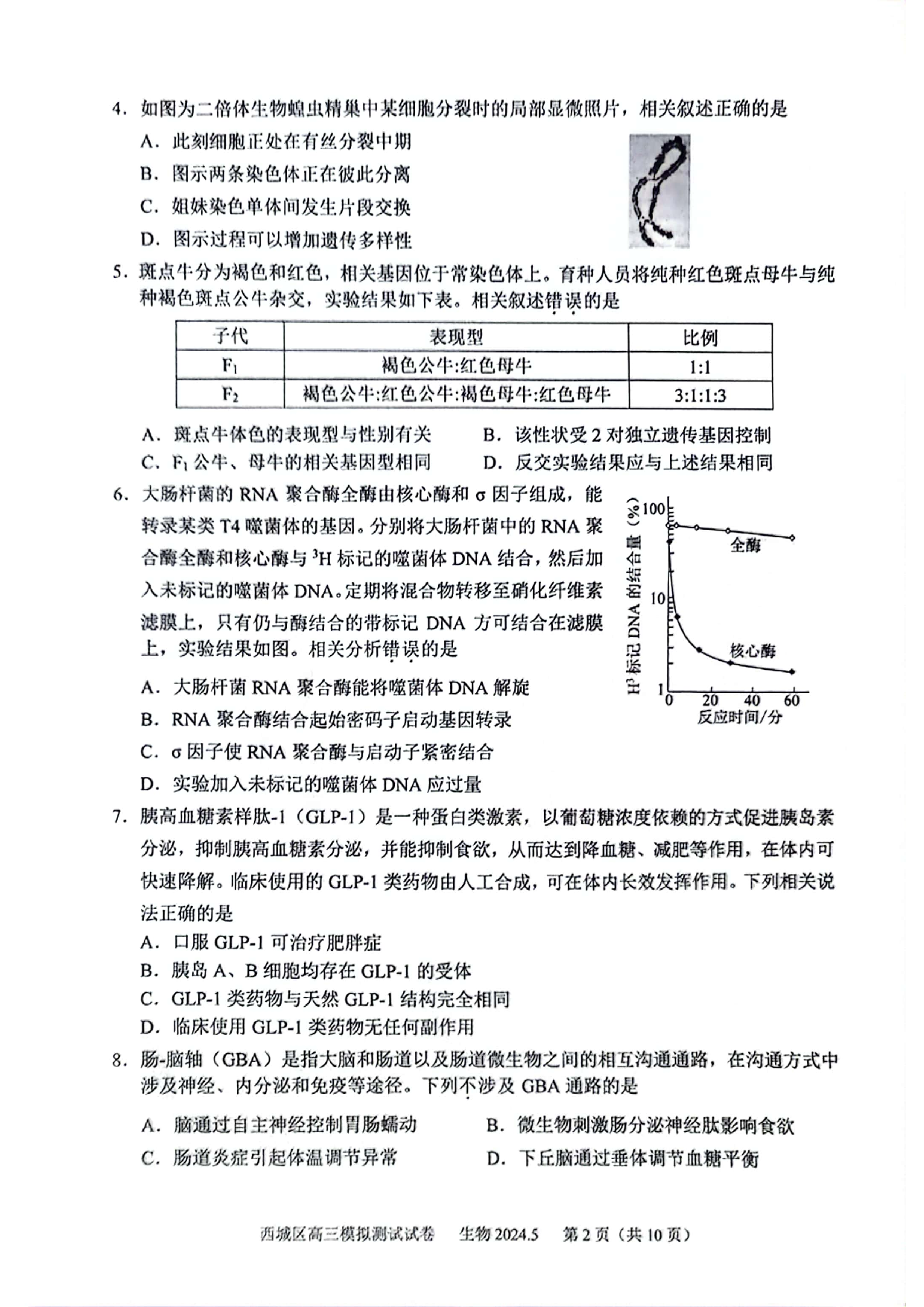 2024北京西城高三二模生物试题及答案.pdf 第2页