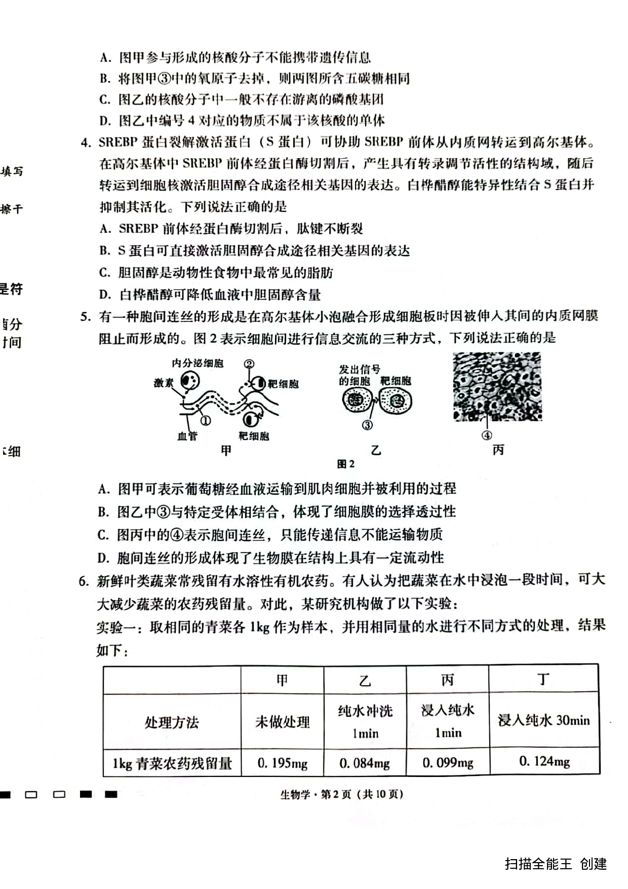 巴蜀中学2024届高考适应性月考卷（二）生物.pdf 第2页