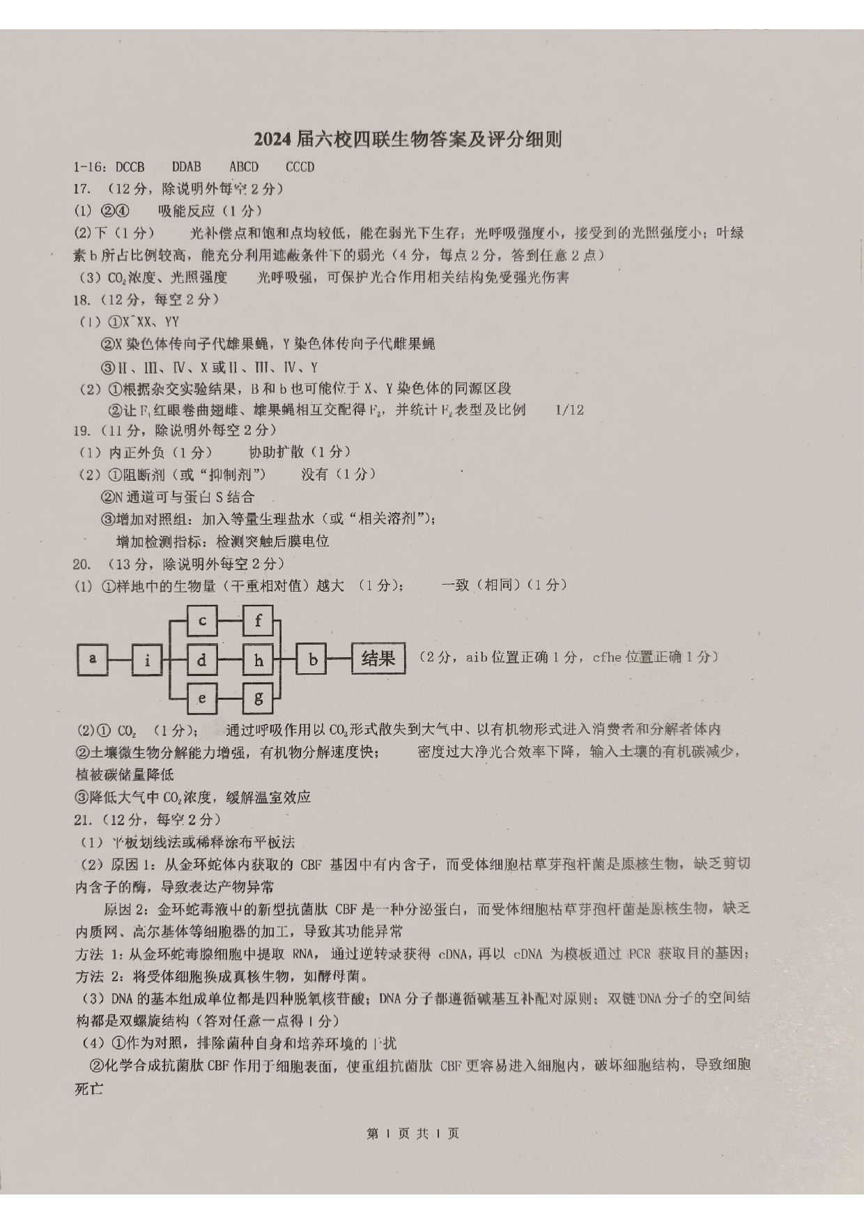 广东省东莞中学、广州二中、惠州一中、深圳实验、珠海一中、中山纪念中学2024届高三第四次六校联考 生物答案.pdf 第1页