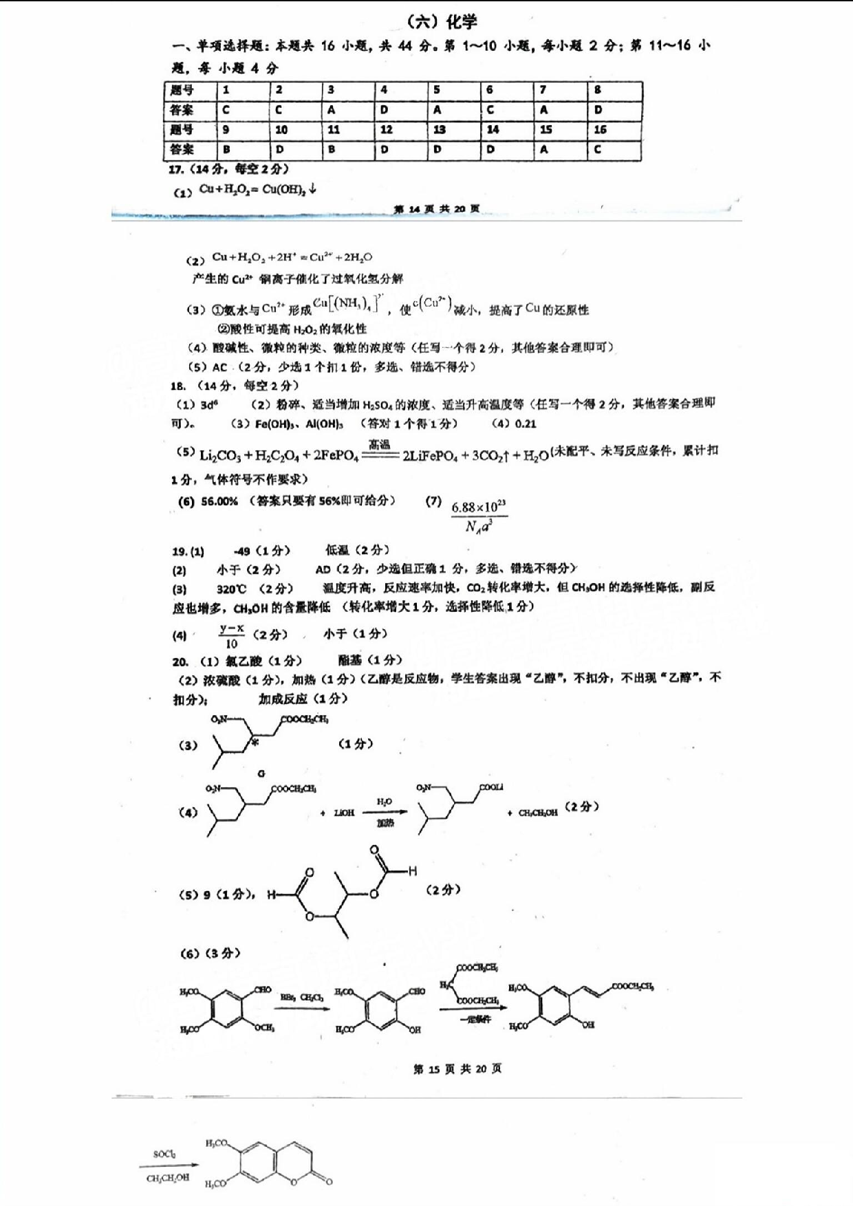 广东省六校（东莞中学、广州二中、惠州一中、深圳实验、珠海一中、中山纪念中学）2024届高三上学期第一次联考 化学答案.pdf 第1页