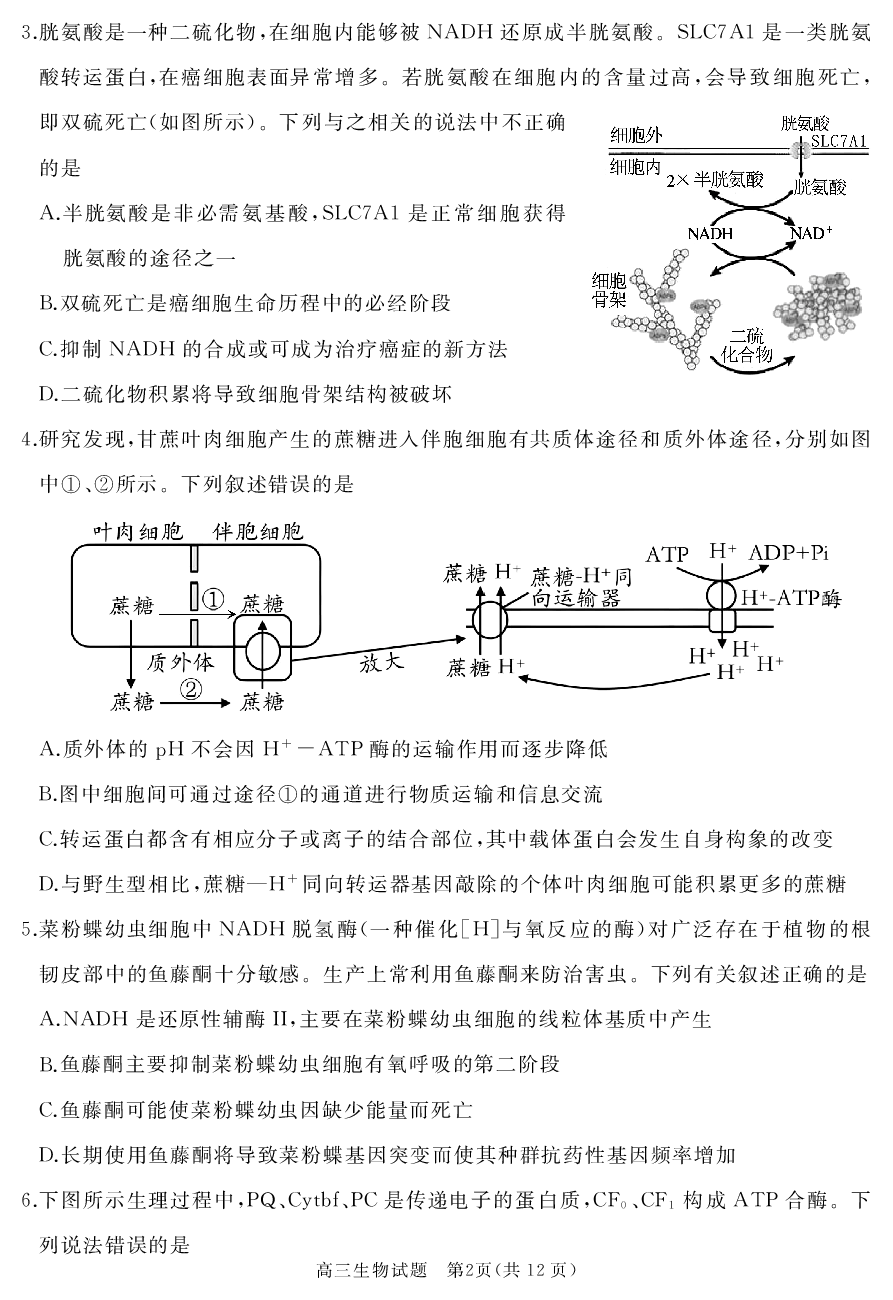 山东省枣庄市滕州市2023-2024学年高三上学期期中考试 生物.pdf 第2页