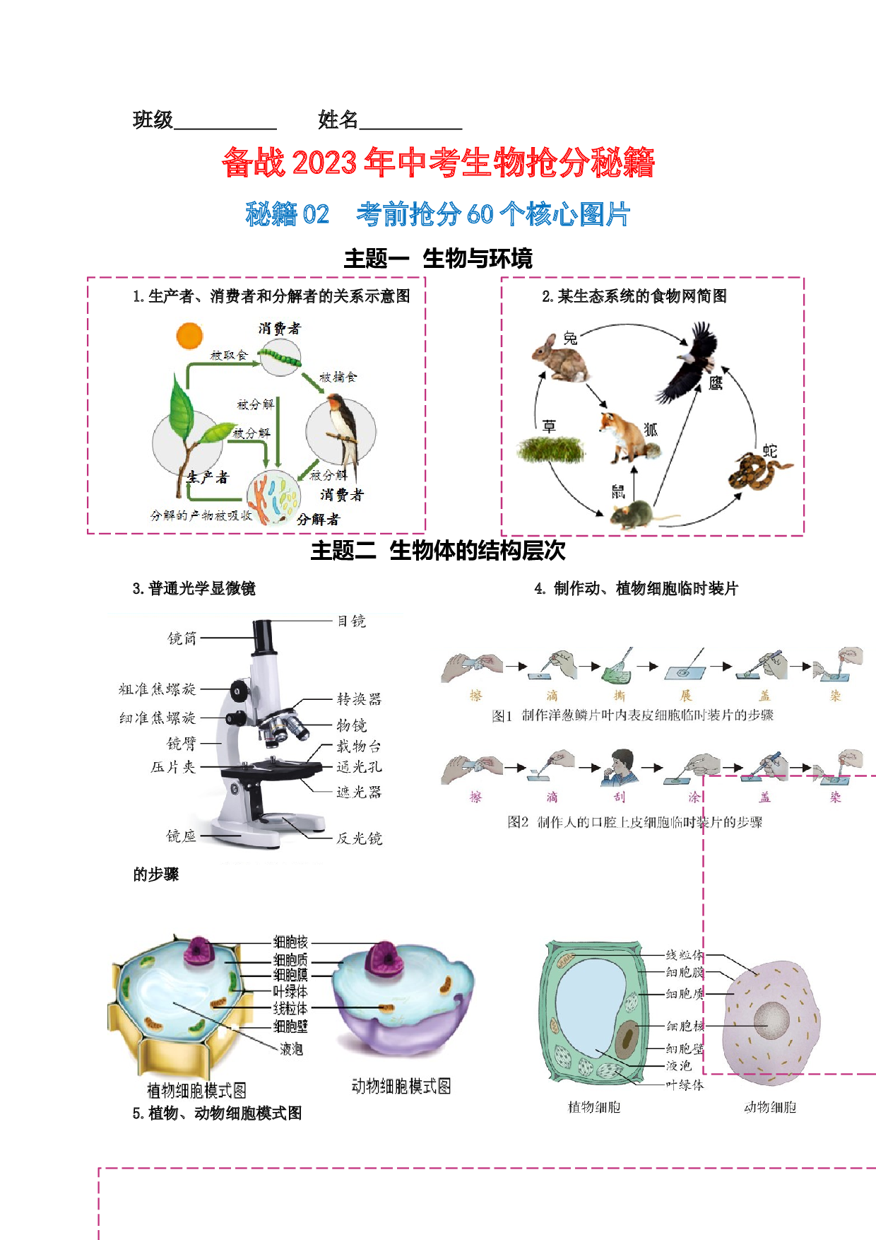 秘籍02 考前抢分60个核心图片-2023年中考生物抢分秘籍（全国通用）.docx 第1页