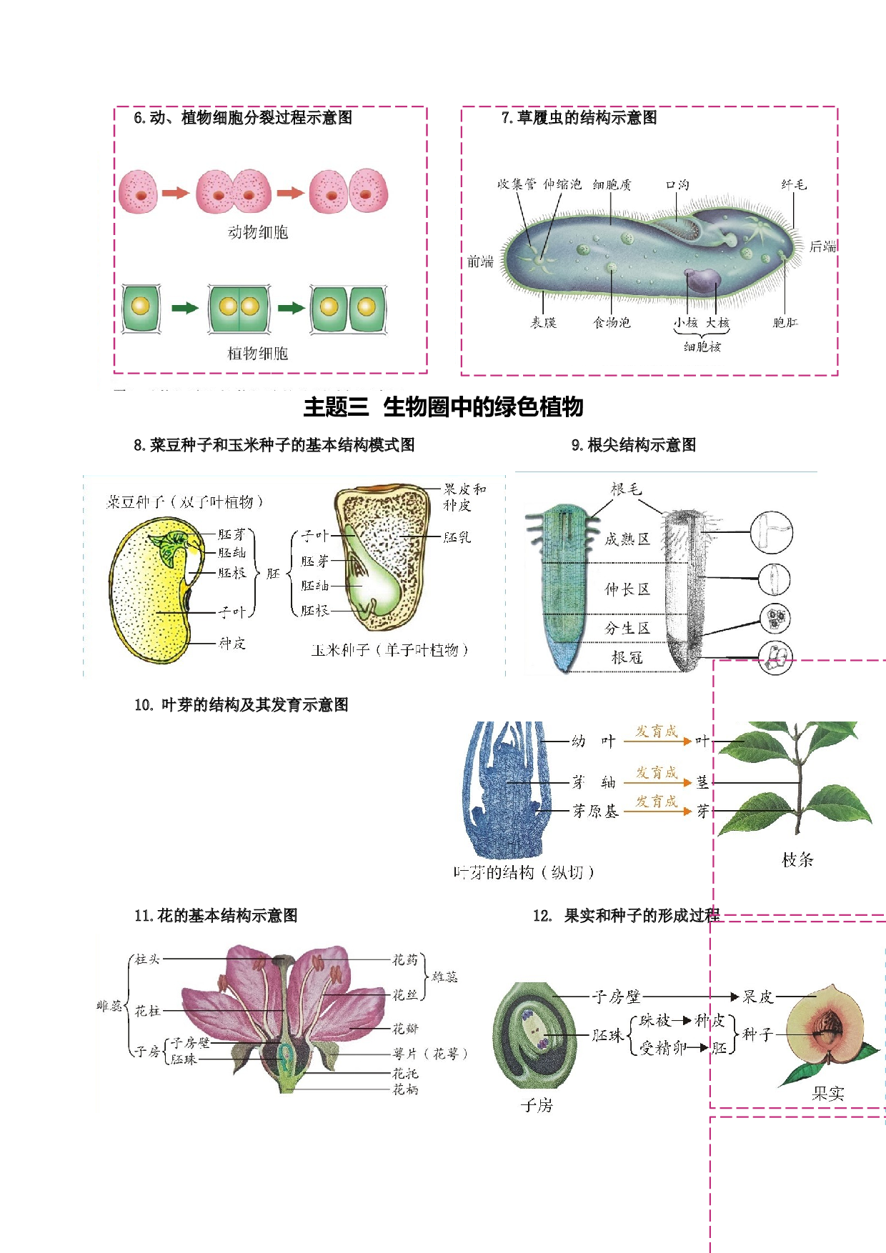 秘籍02 考前抢分60个核心图片-2023年中考生物抢分秘籍（全国通用）.docx 第2页