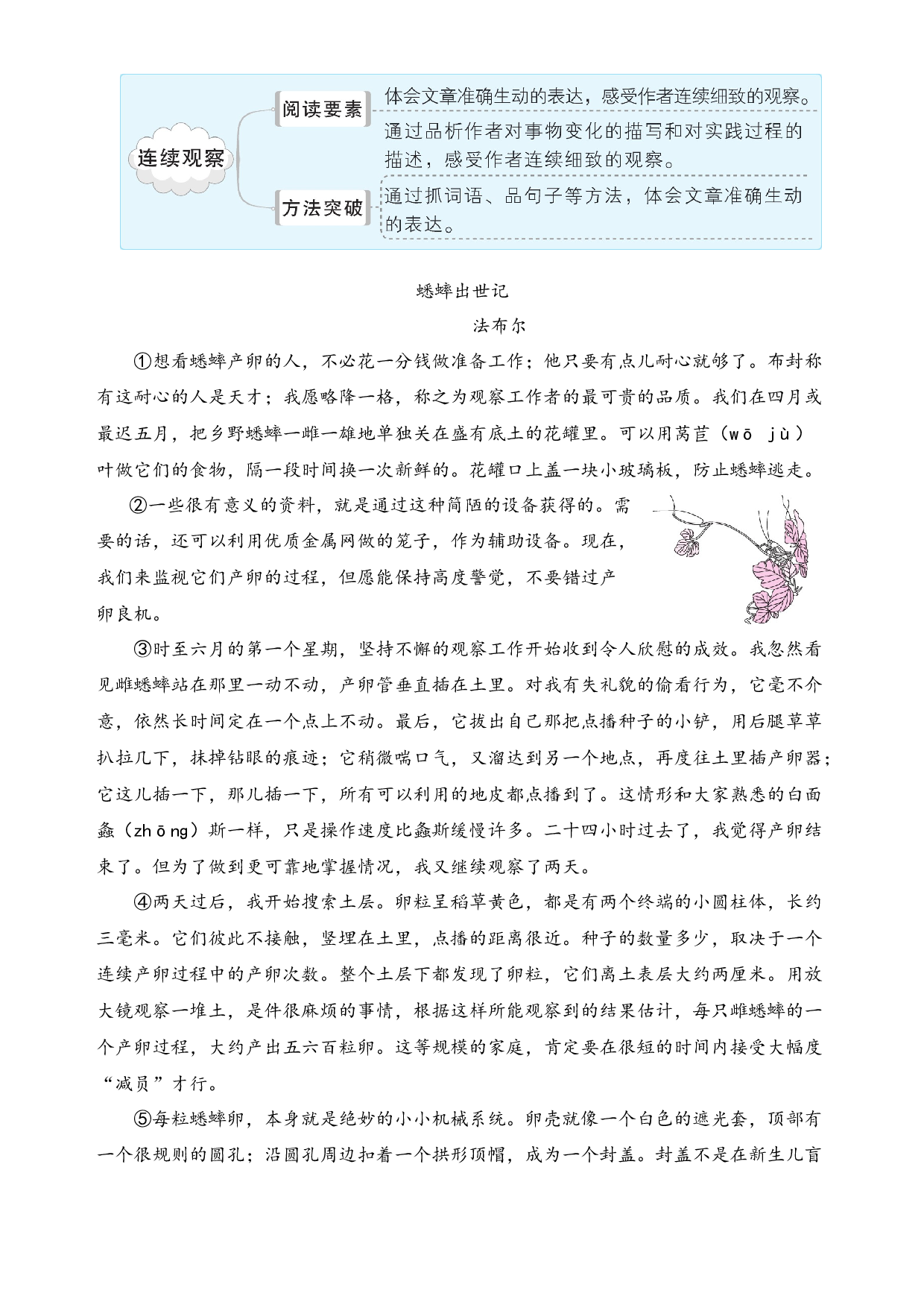 (新课标)三升四语文阅读与习作暑期升级训练(第五周).docx 第2页