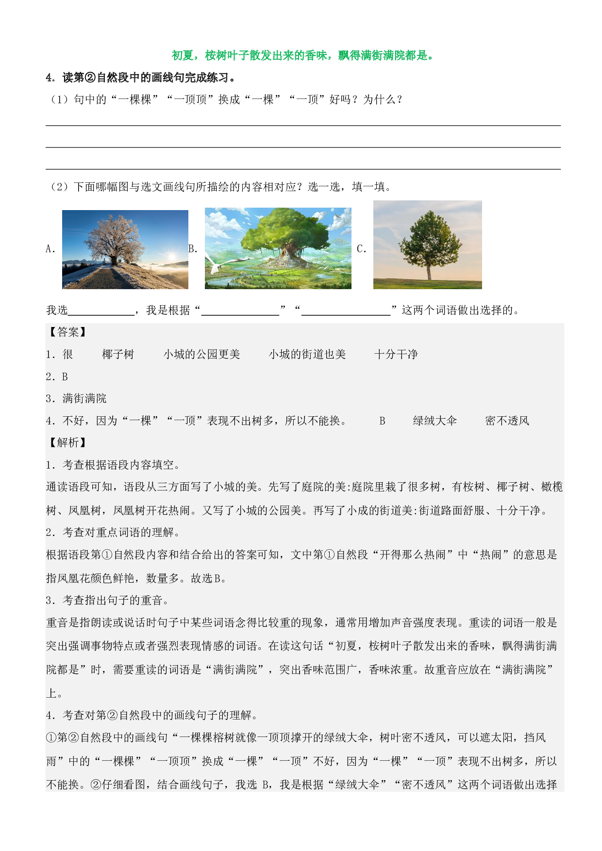第19课 海滨小城（类文阅读）-2023-2024学年三年级语文上册阅读理解（统编版）.docx 第2页