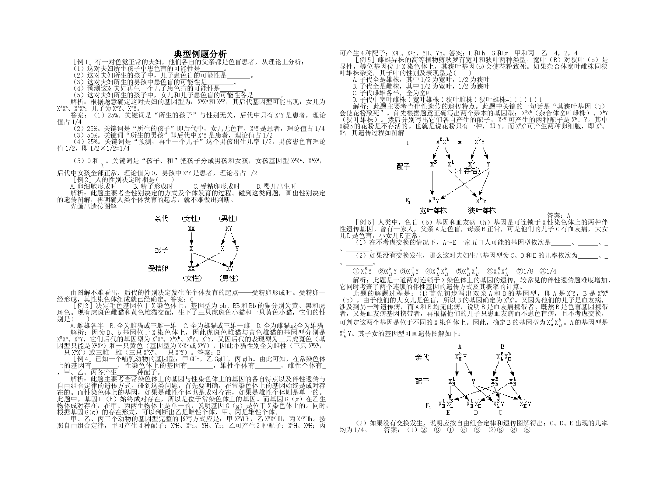 高二生物典型例题分析.doc 第1页