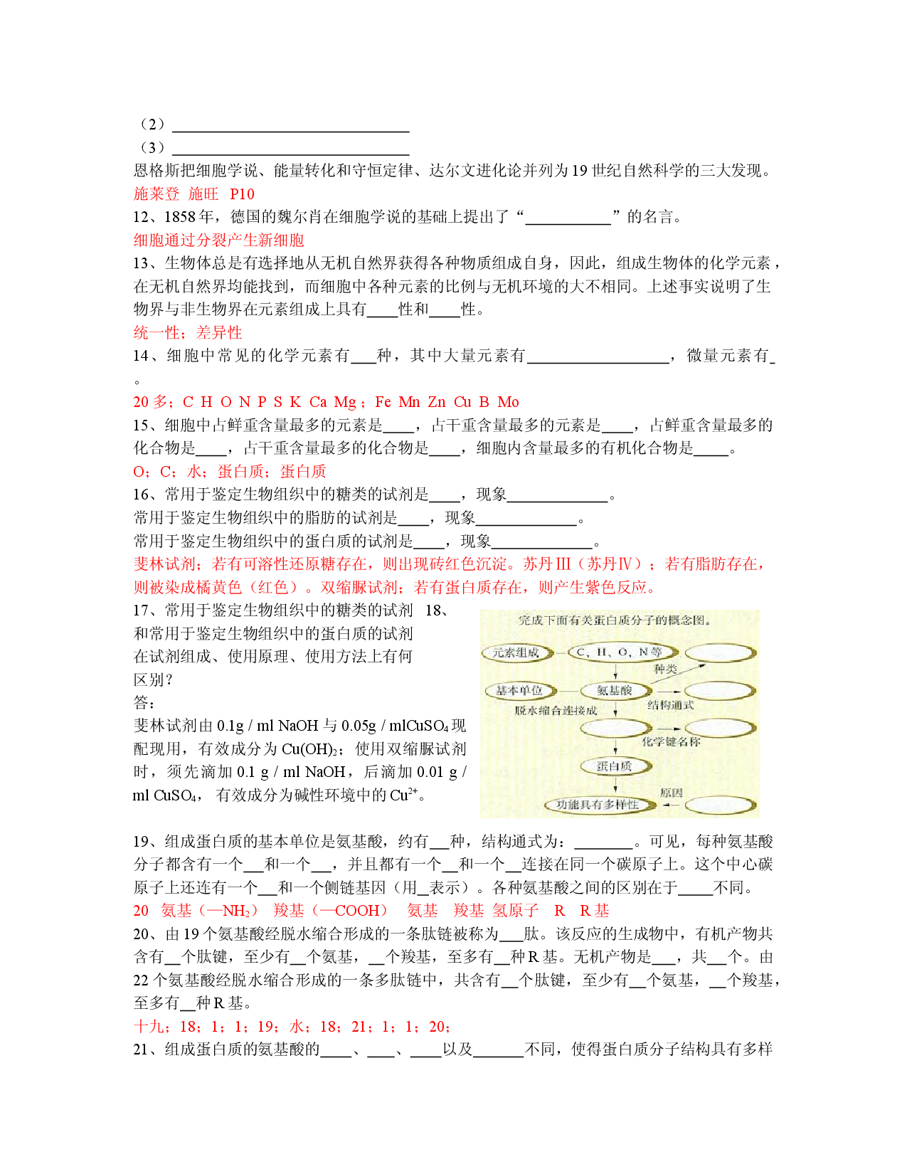 高二生物分子与细胞训练题1.doc 第2页