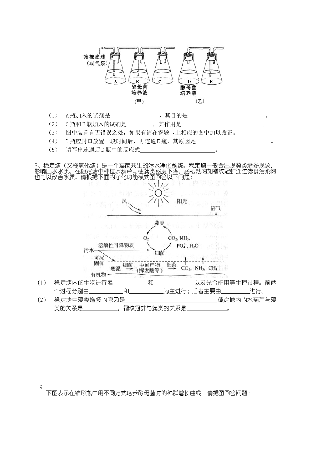 高二生物复习试验题.doc 第2页