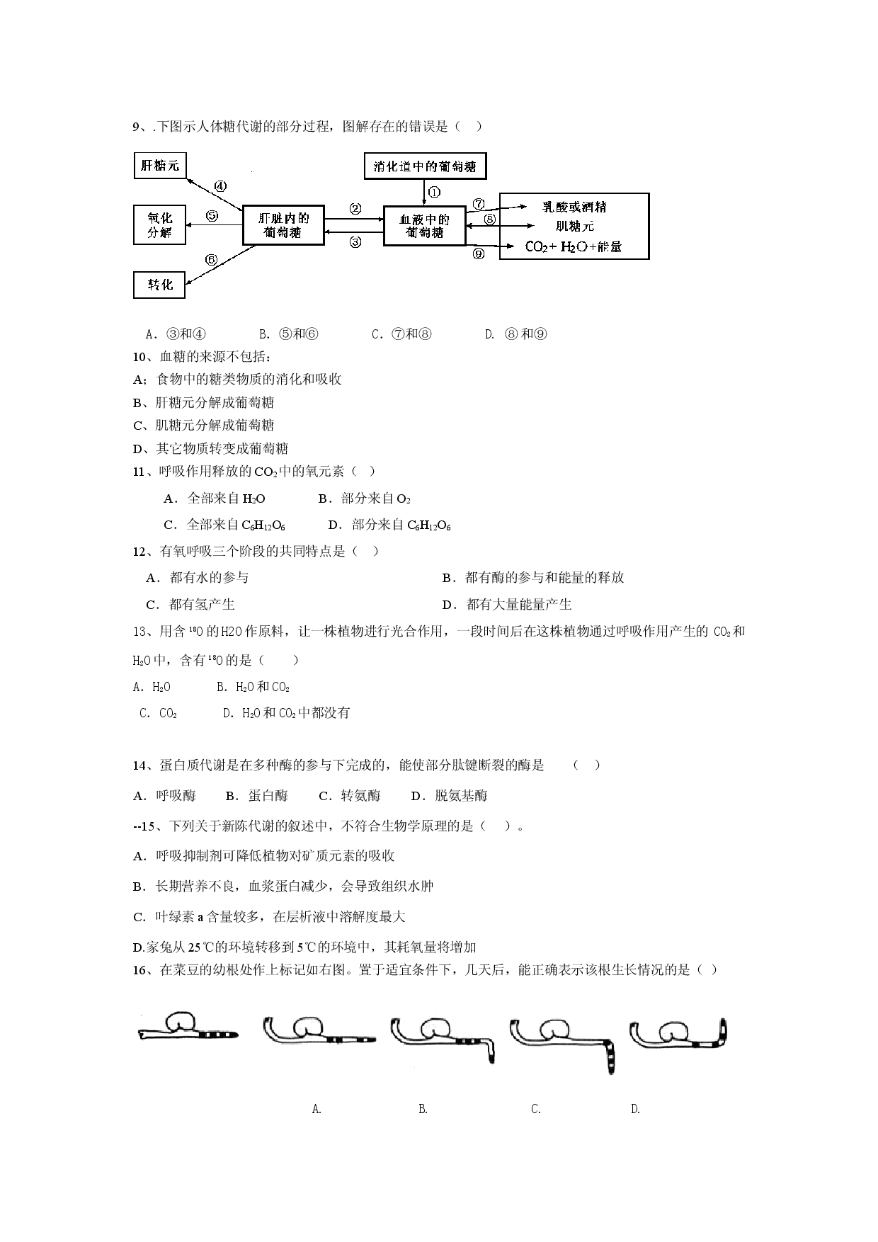 高二生物上期学期末试卷.doc 第2页