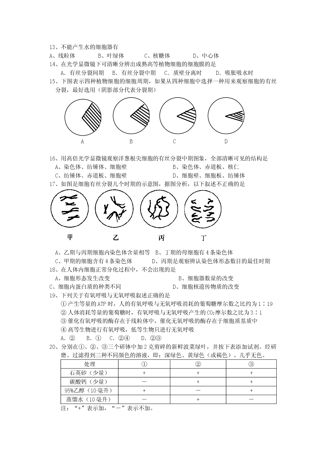高二生物上学期期末试题.doc 第2页