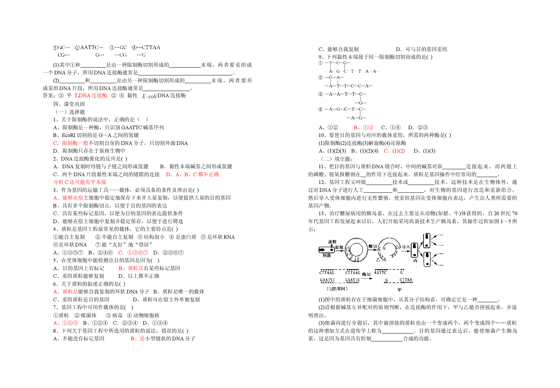 高二生物选修3导学提纲1.doc 第2页