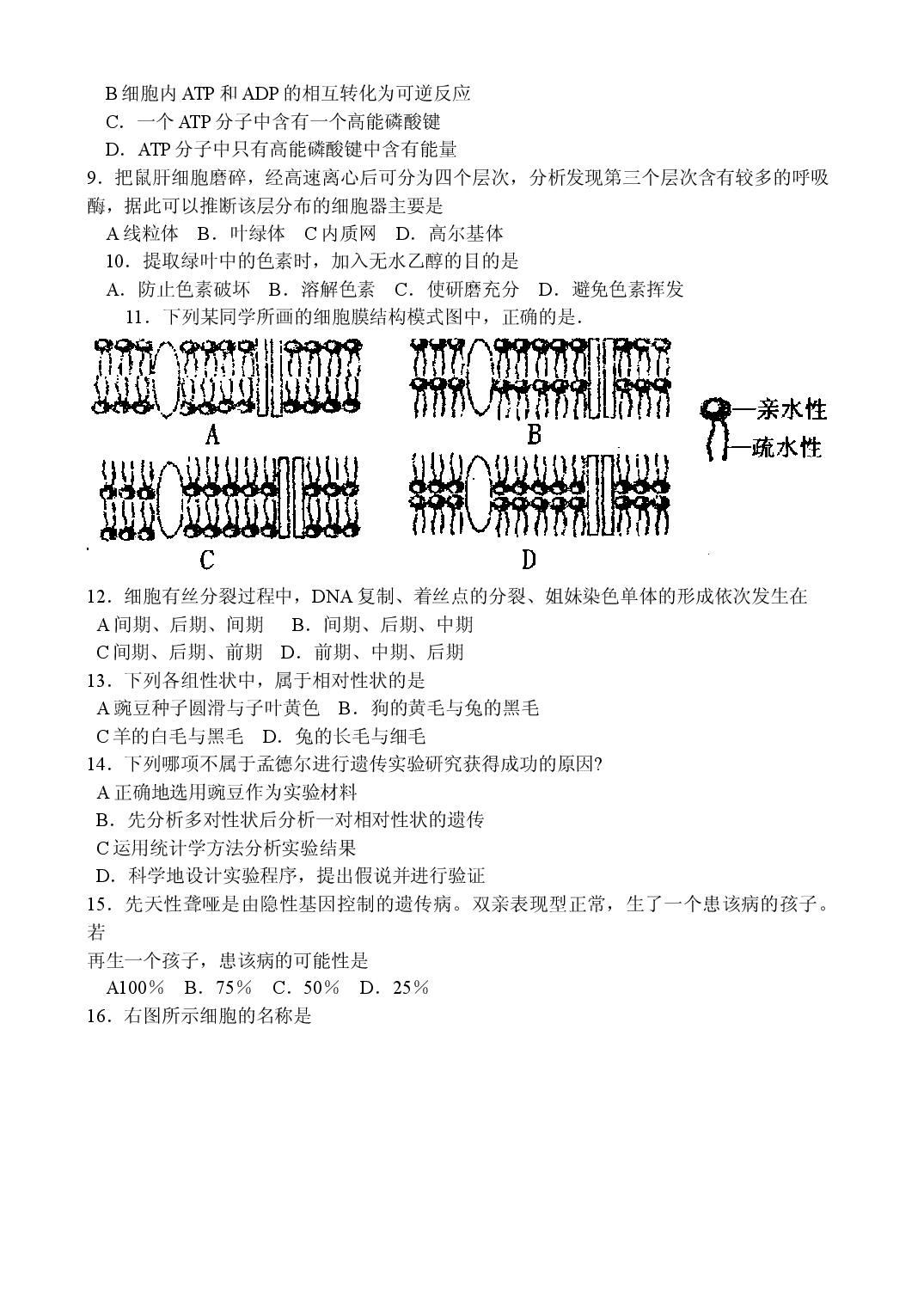 高二生物学业水平调研测试.doc 第2页