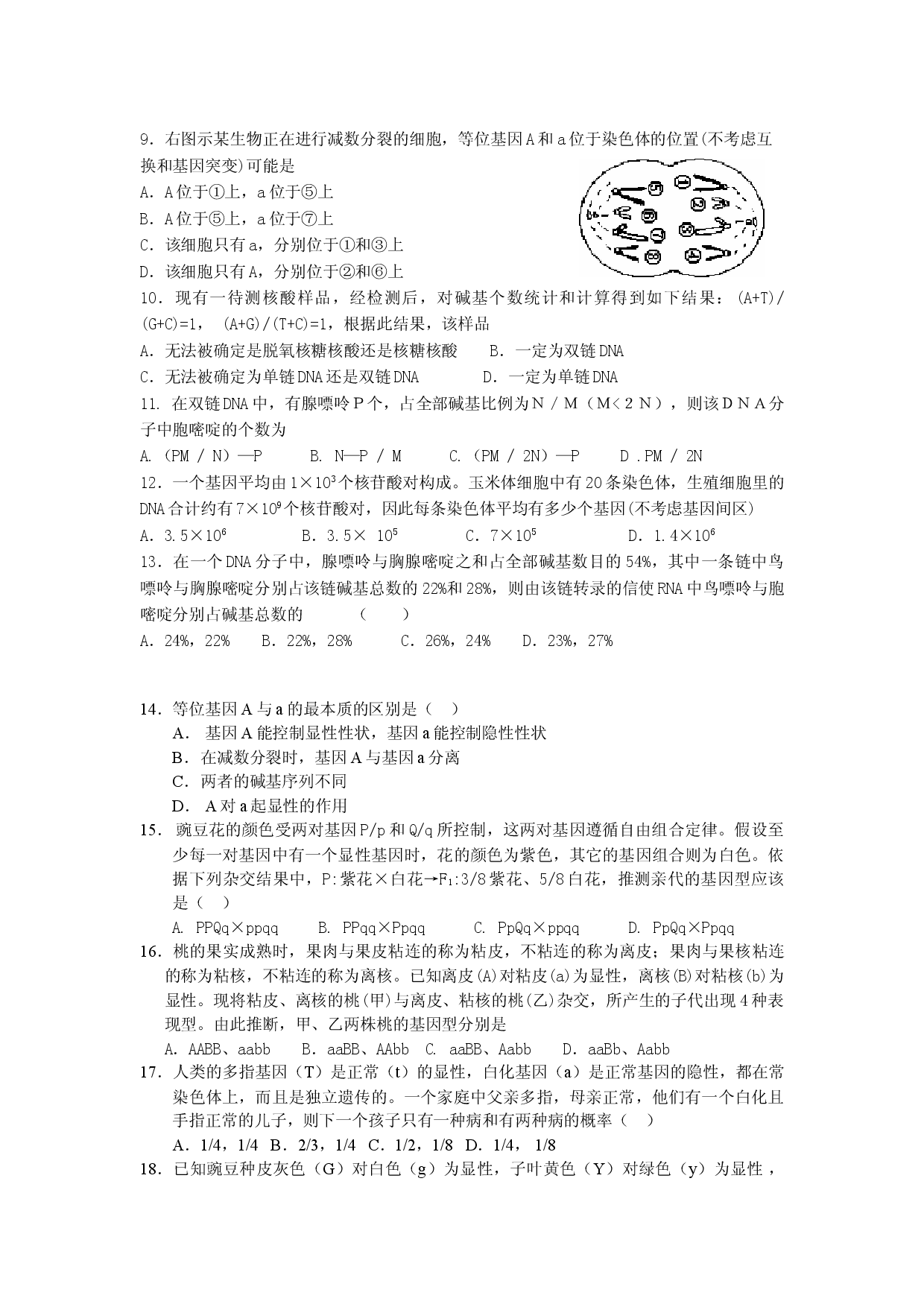 高二生物遗传学月考题.doc 第2页