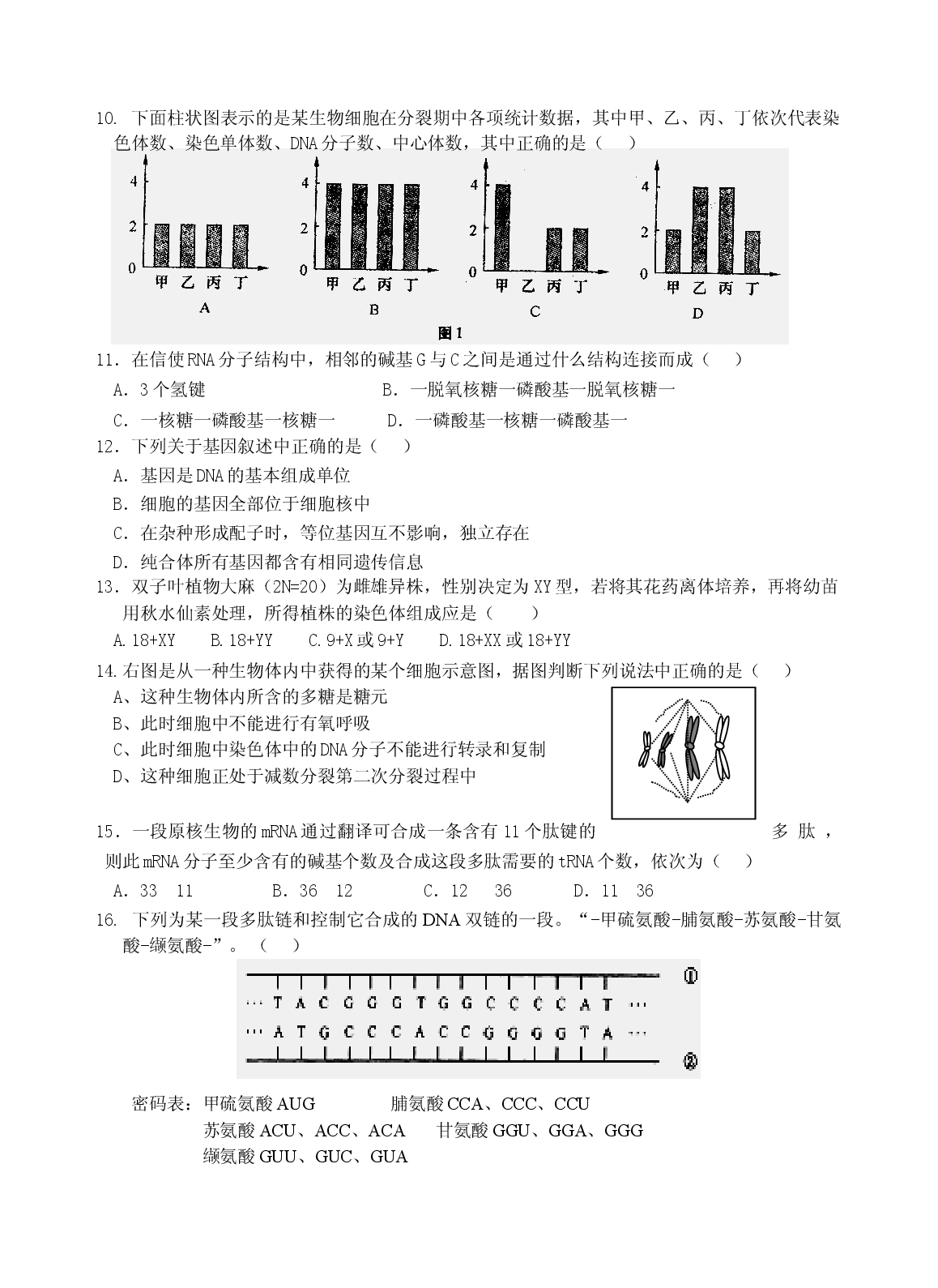 高二生物遗传与进化复习训练题.doc 第2页