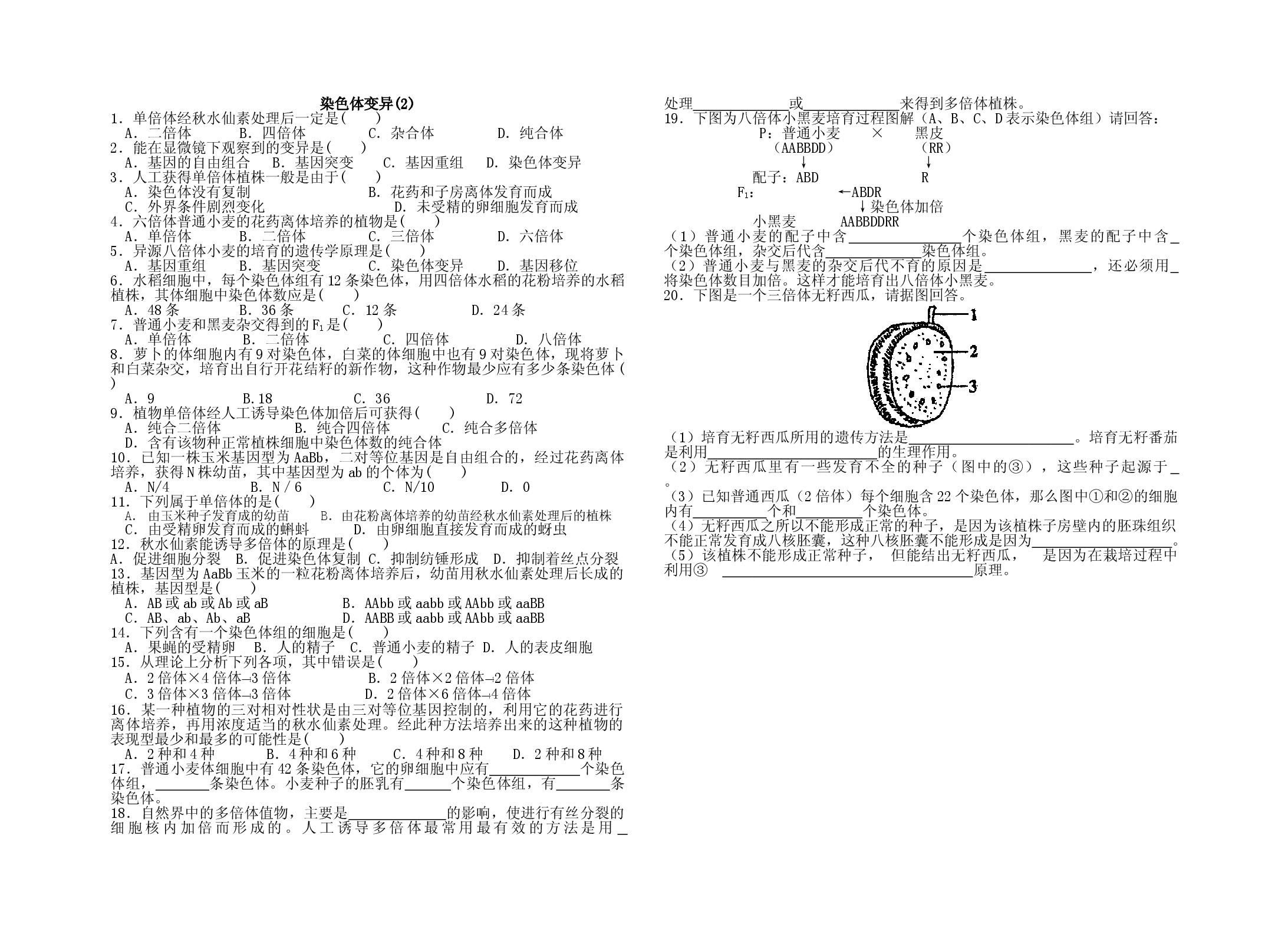 染色体变异(2).doc 第1页