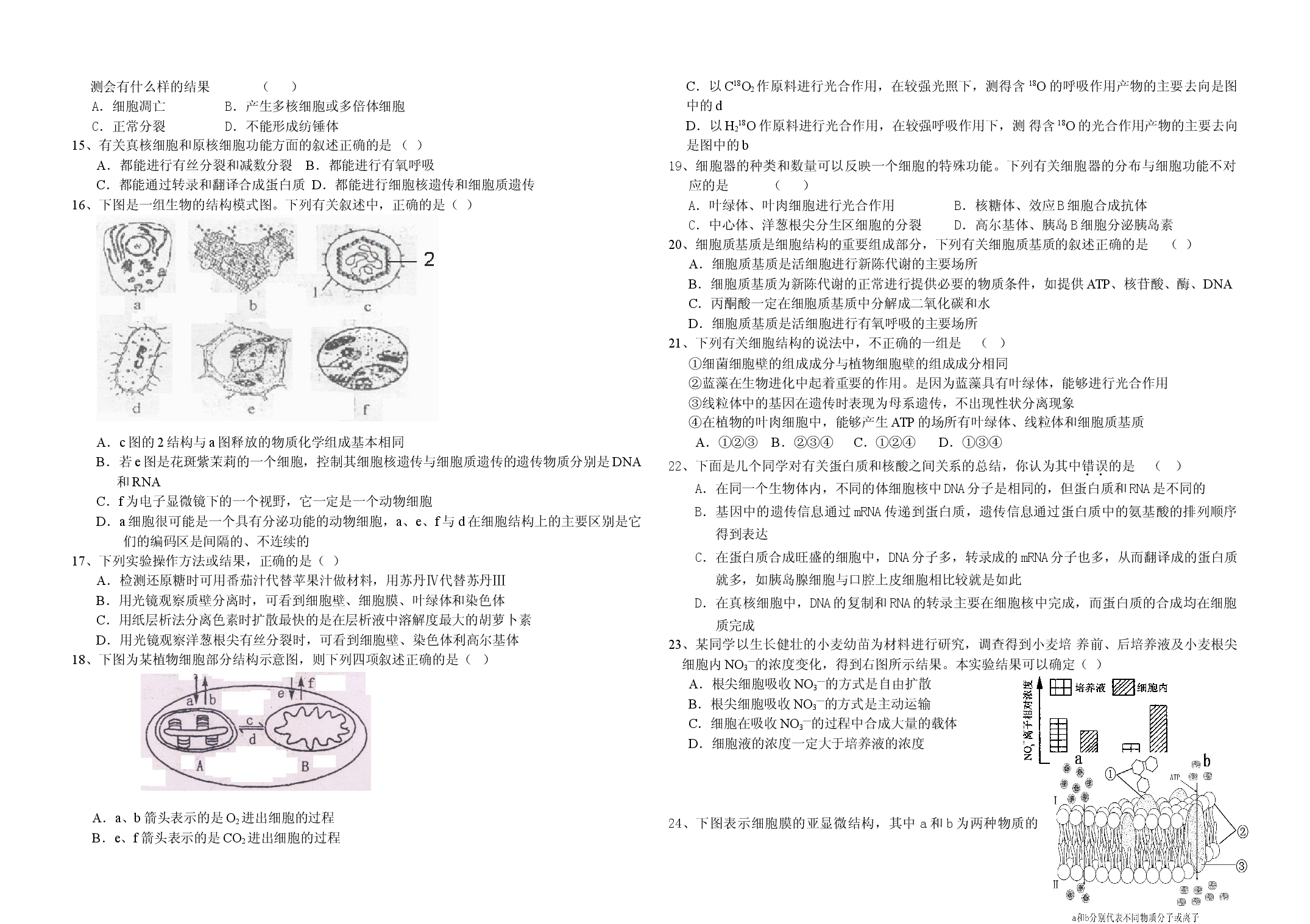高三生物上册周练测试题六.doc 第2页