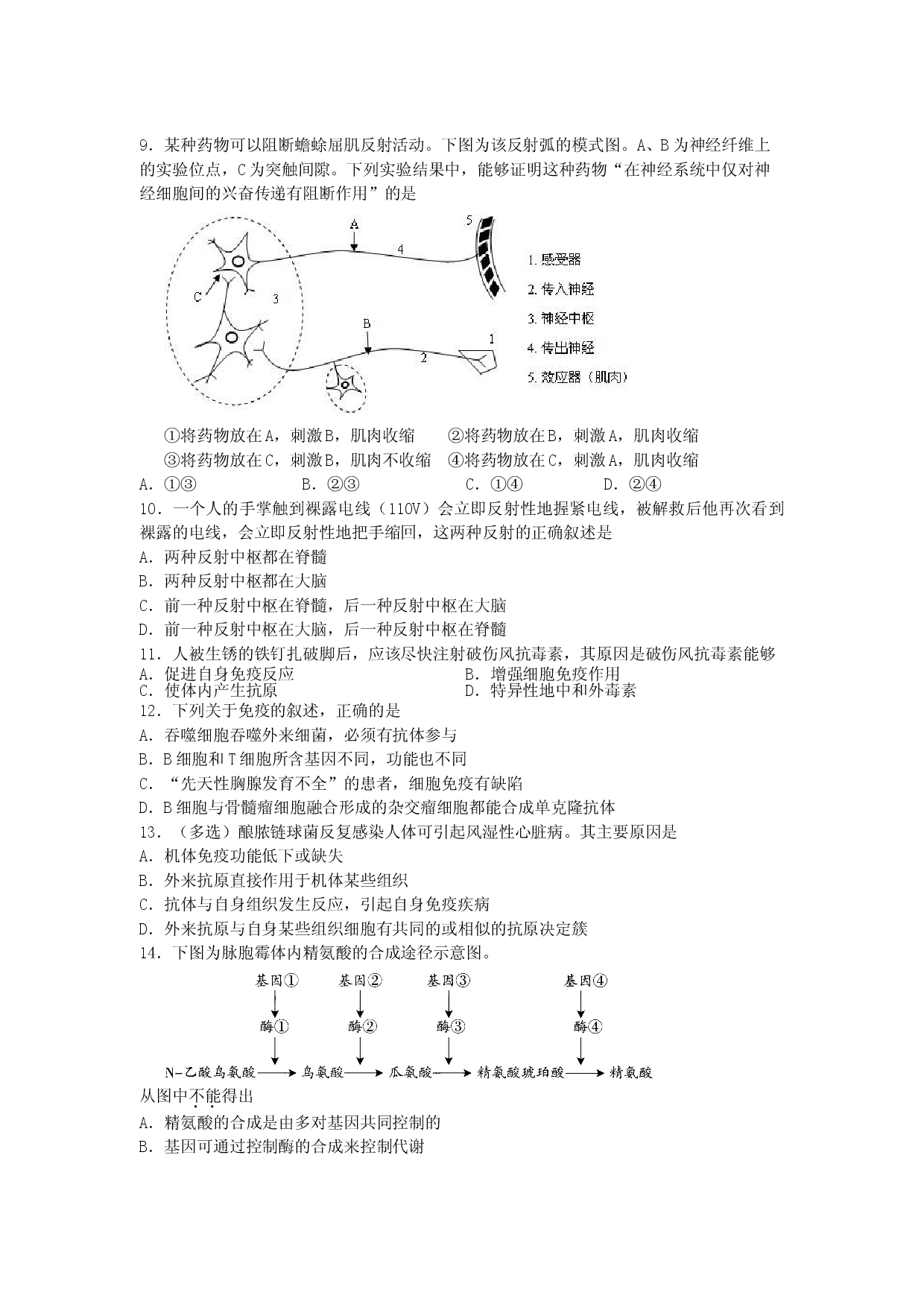 高三生物上学期周末考试试题.doc 第2页