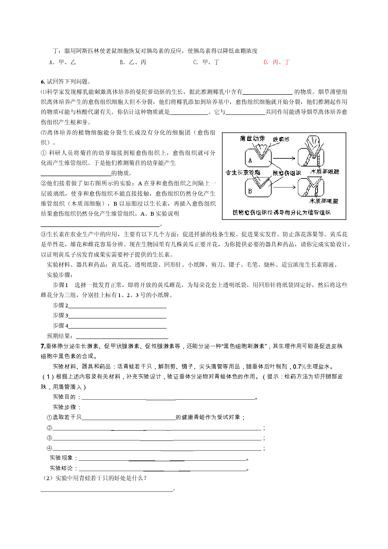 高三生物实验及设计基础综合测试4.doc 第2页